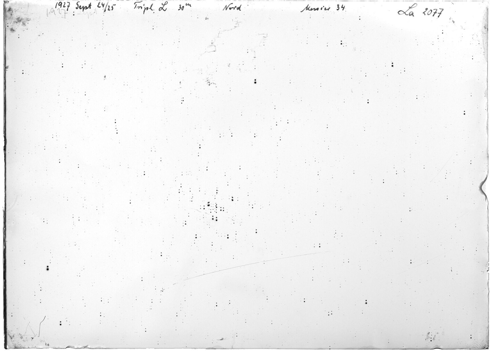 Scan LA02077