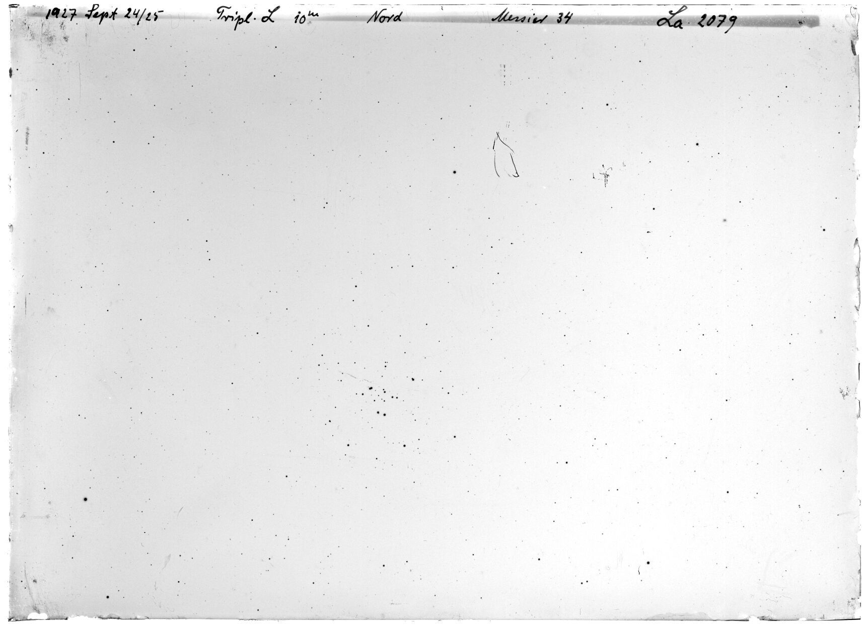 Scan LA02079