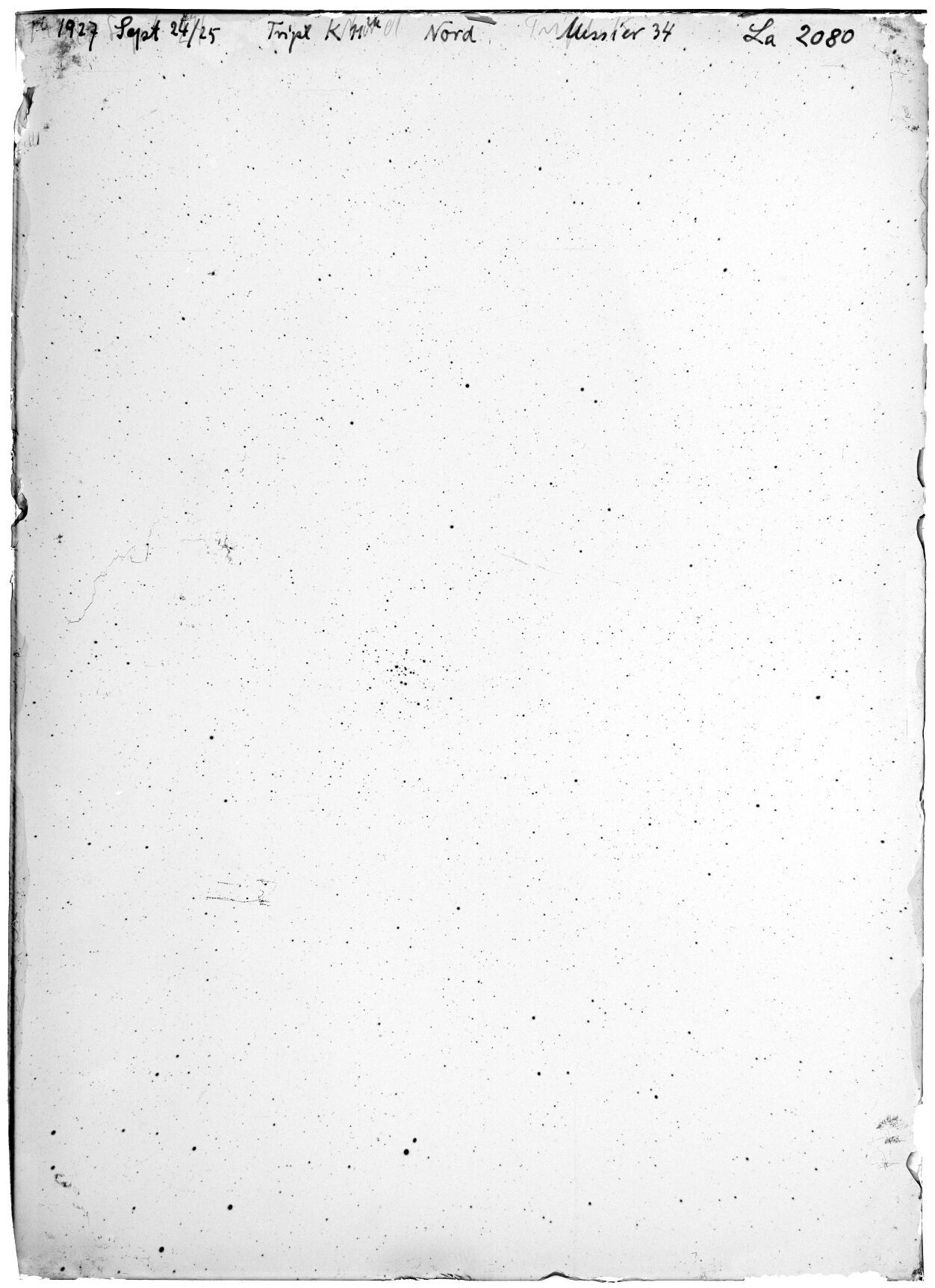 Scan LA02080