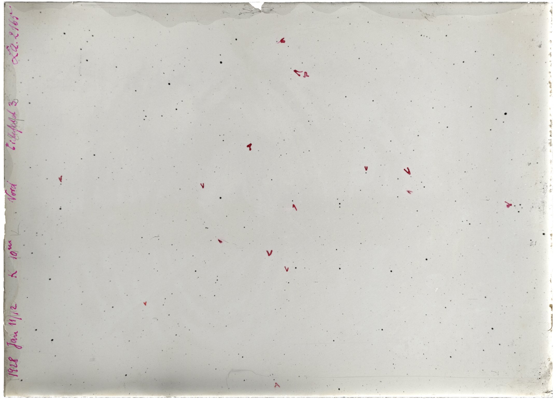 Scan LA02165