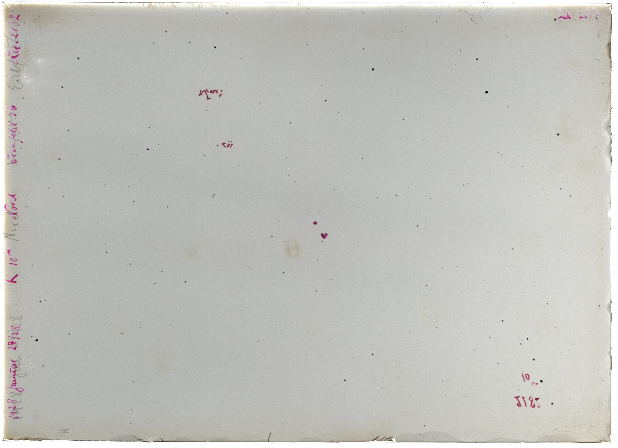 Scan LA02182