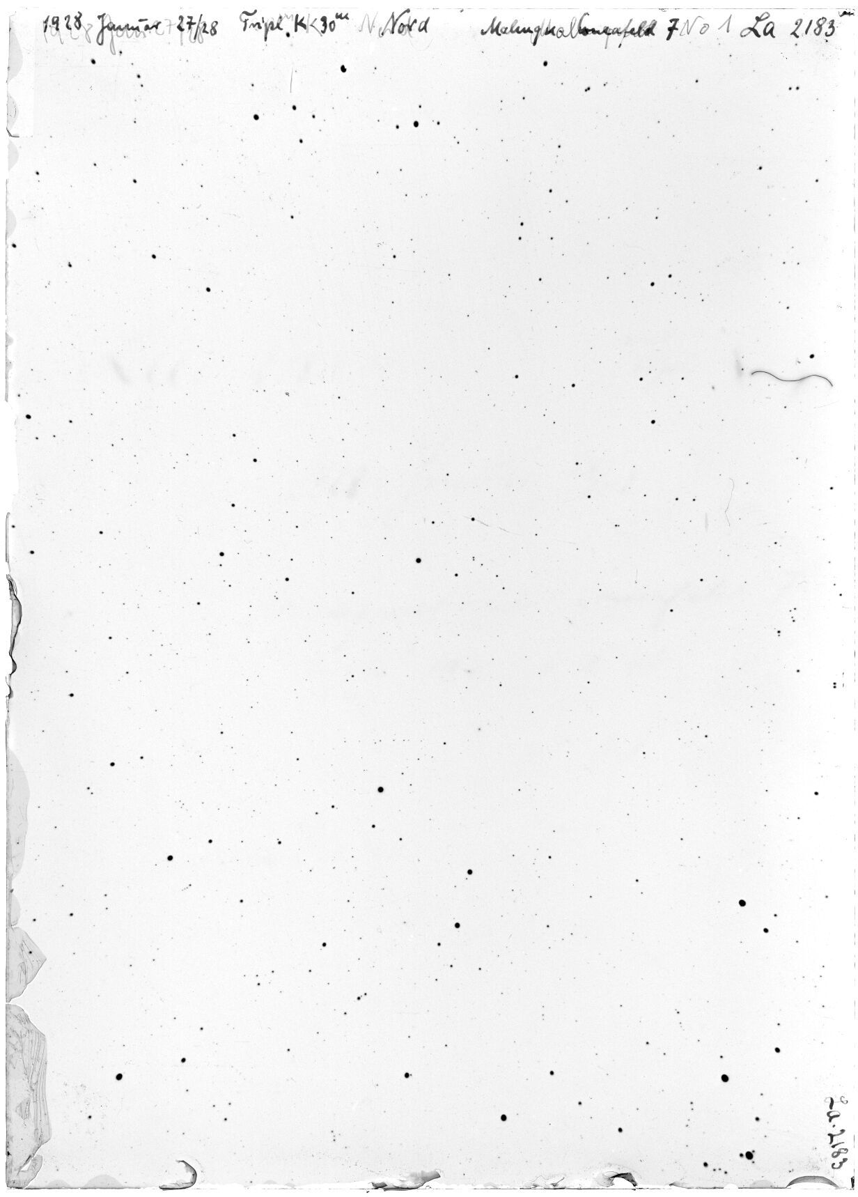 Scan LA02183