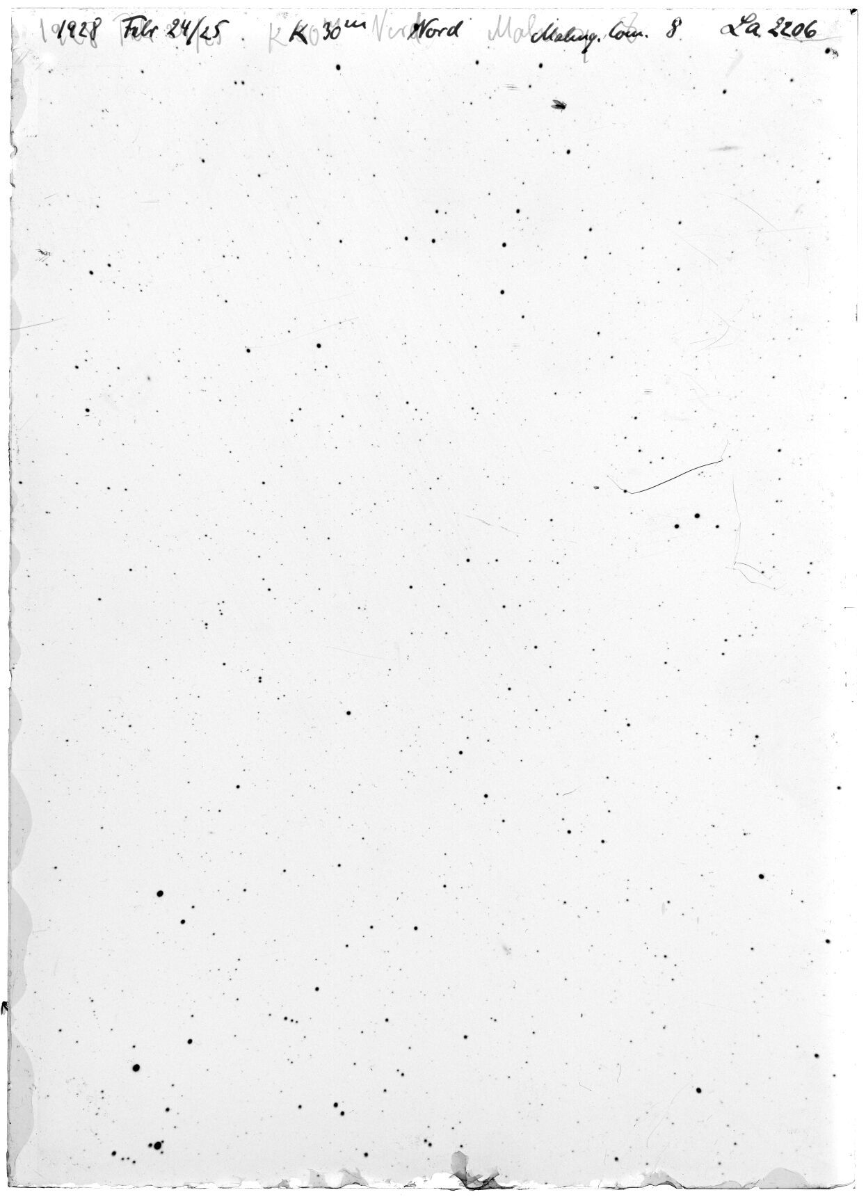 Scan LA02206