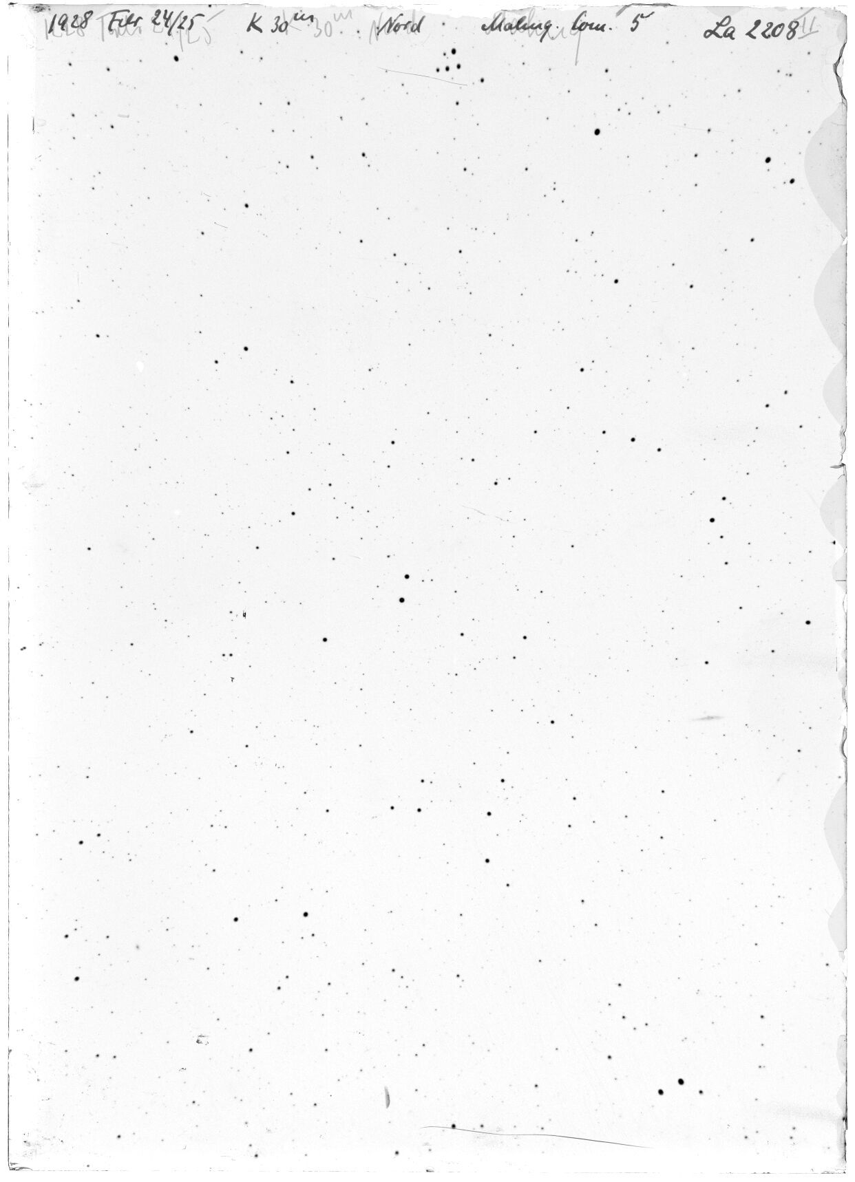 Scan LA02208