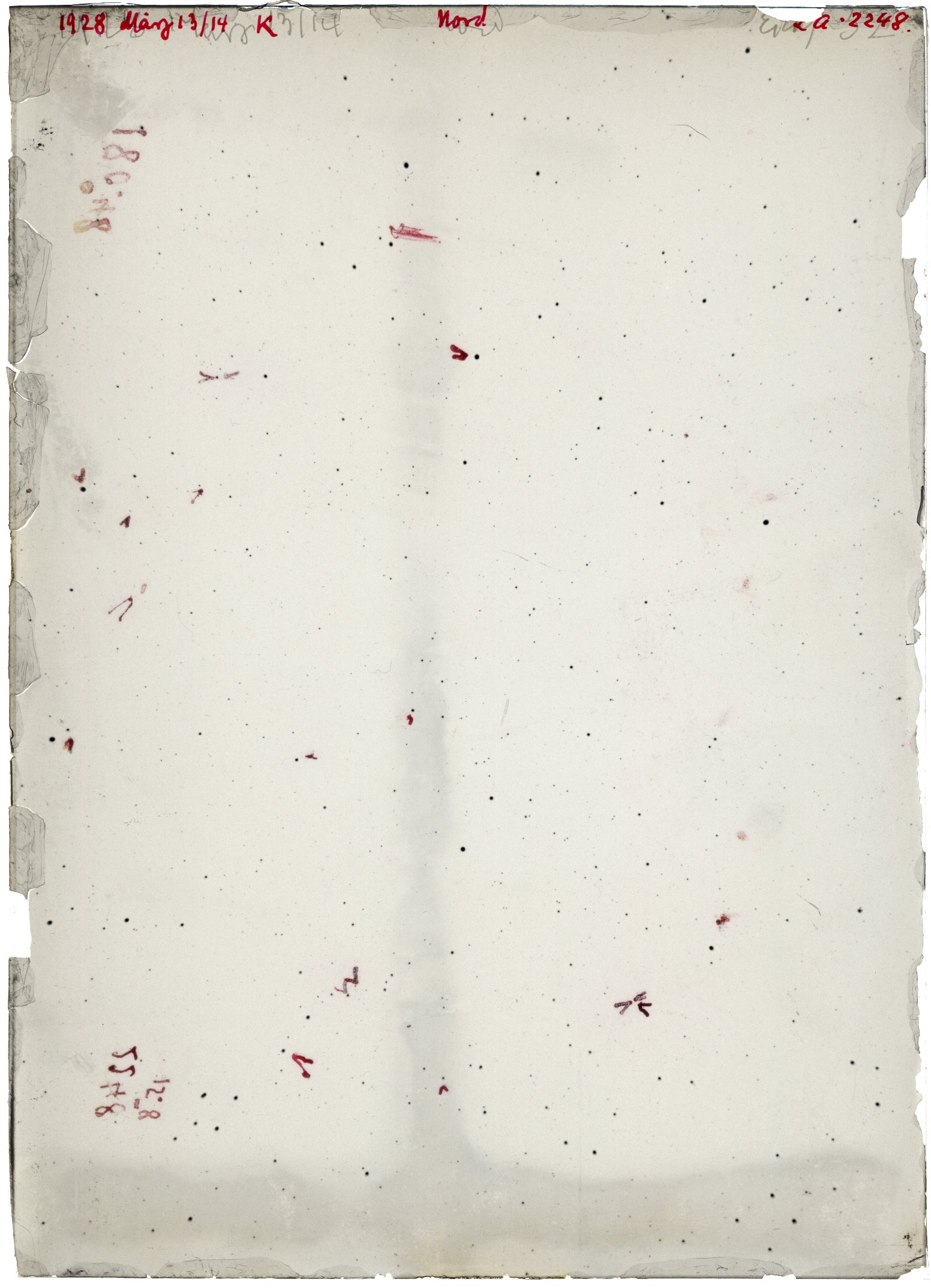 Scan LA02248