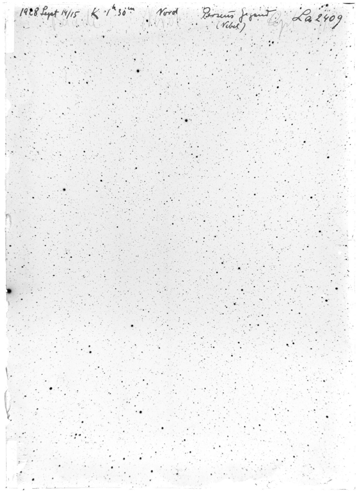 Scan LA02409