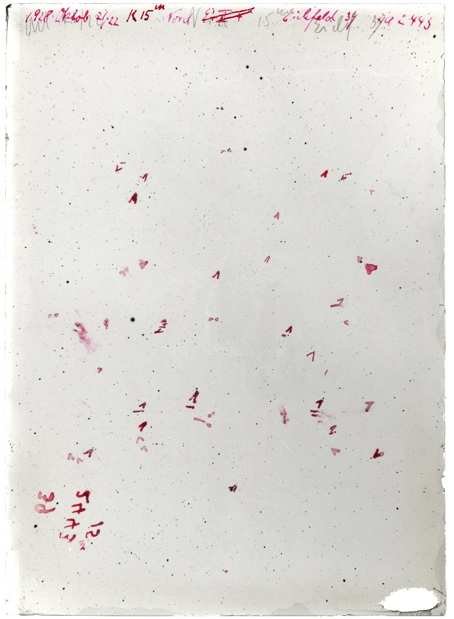 Scan LA02443