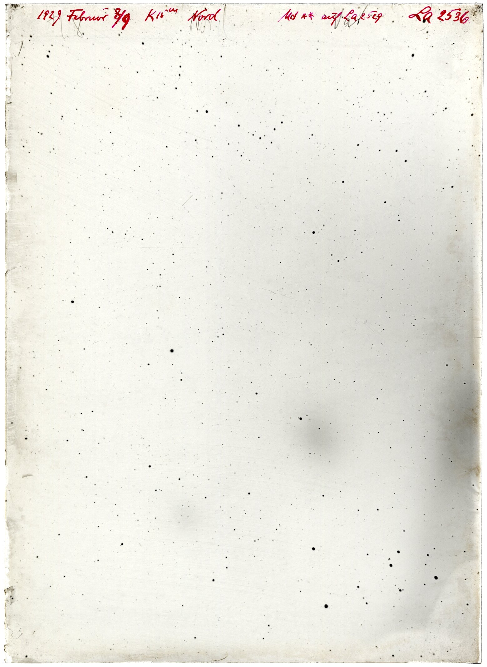 Scan LA02536