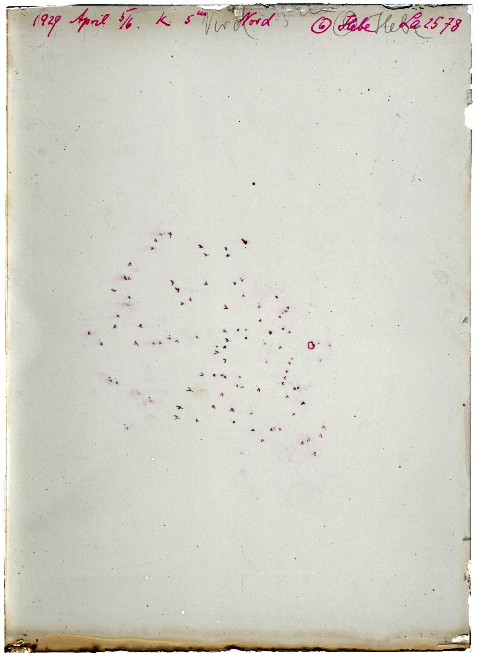 Scan LA02578