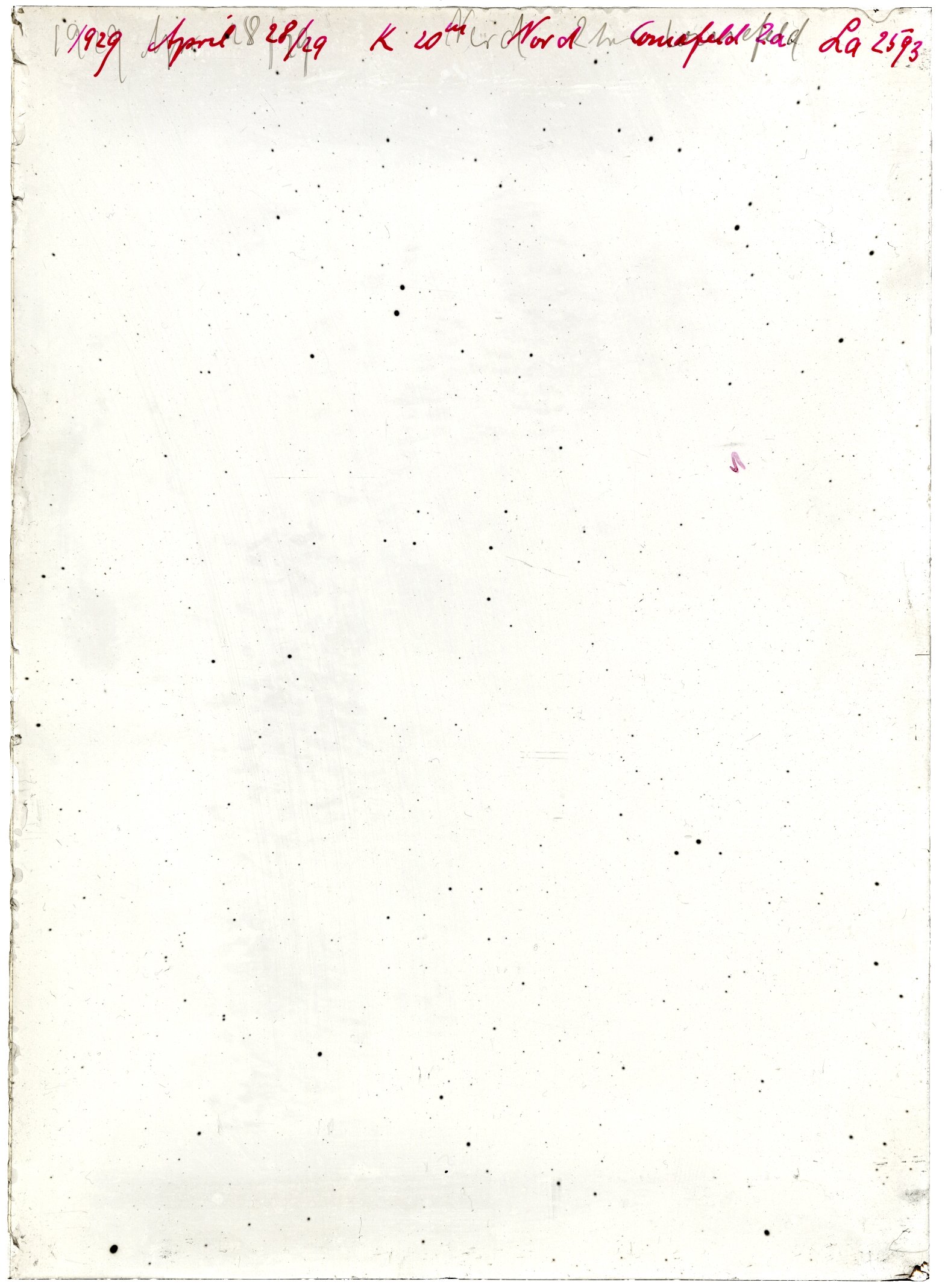 Scan LA02593