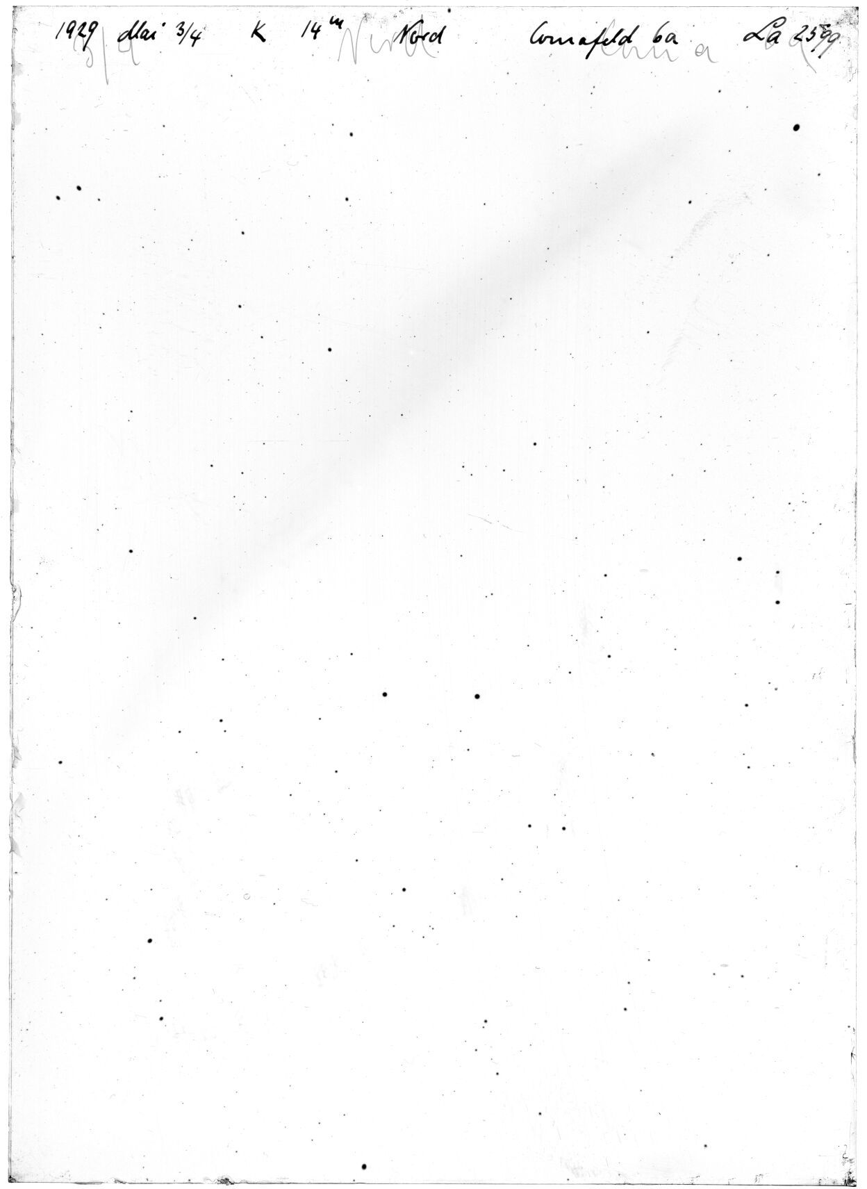 Scan LA02599