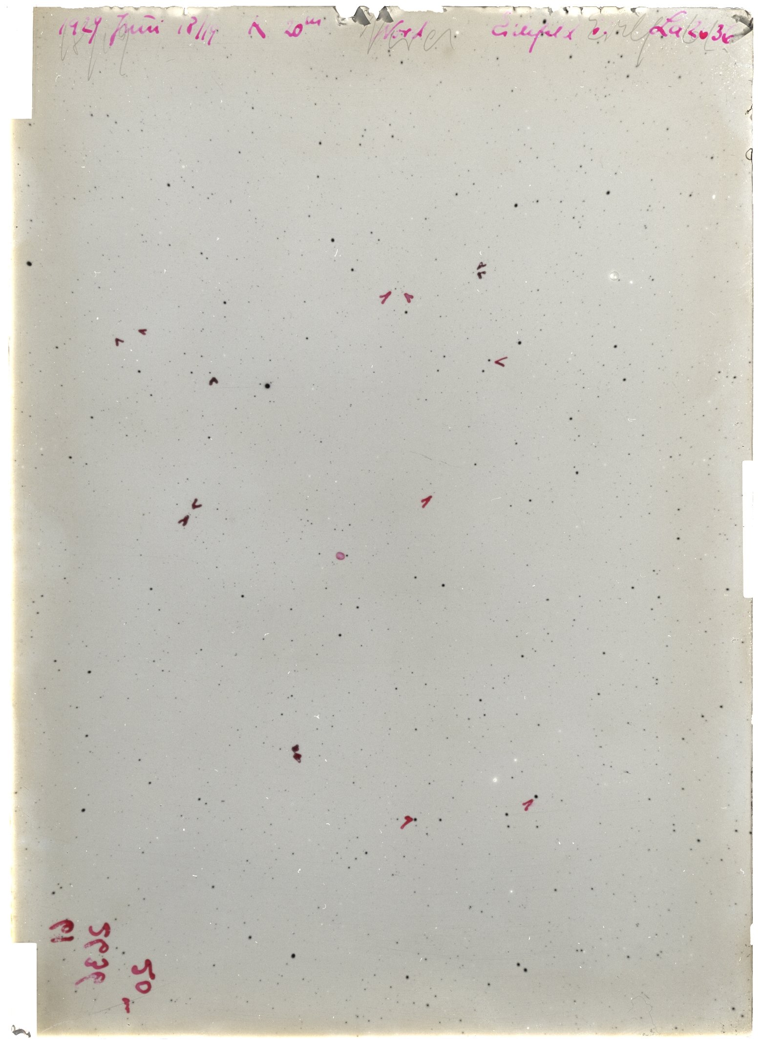 Scan LA02636