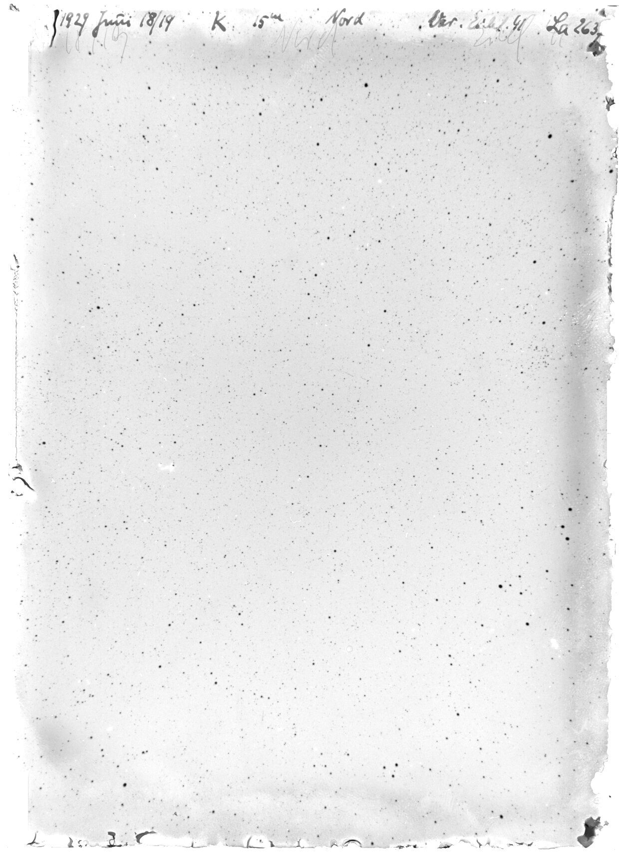 Scan LA02637