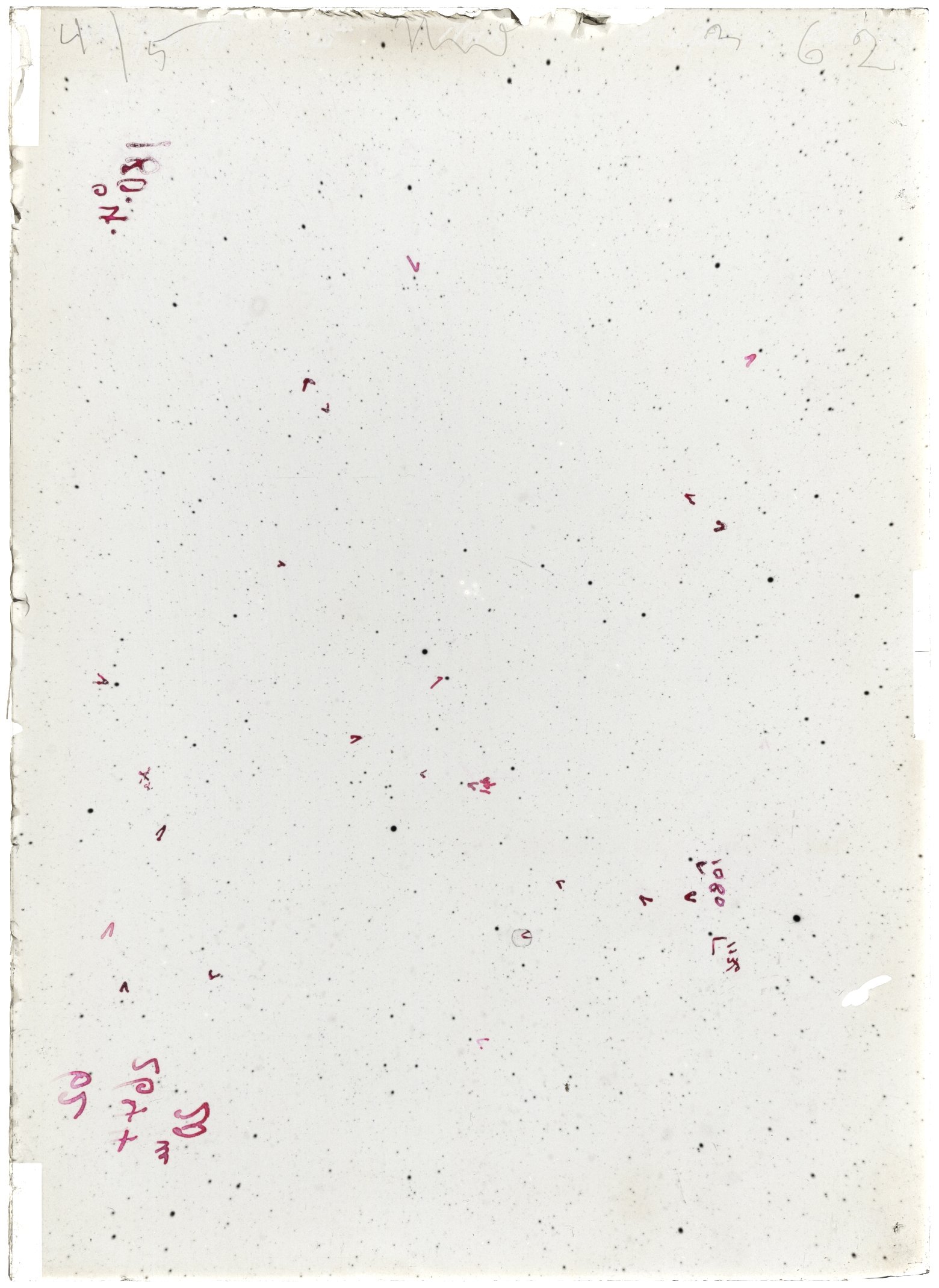 Scan LA02644