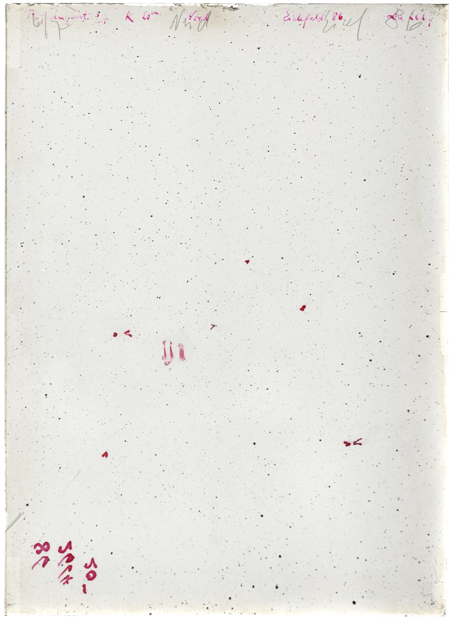 Scan LA02664