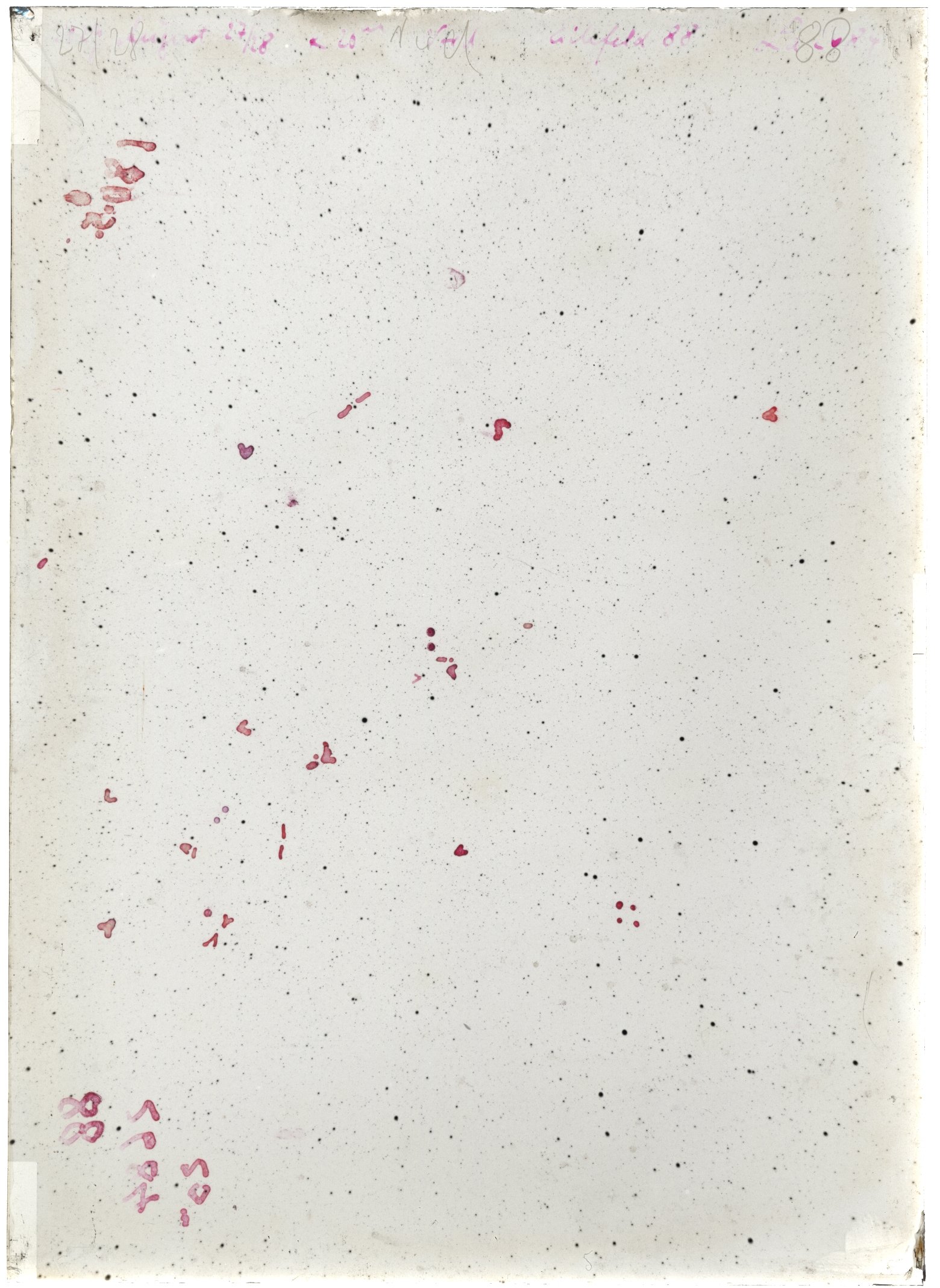 Scan LA02684