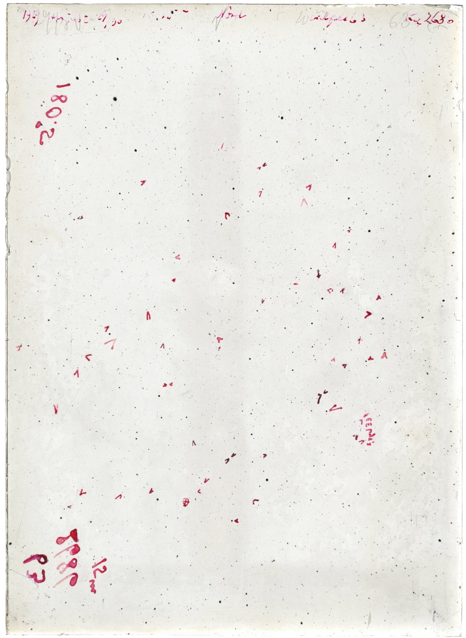 Scan LA02686