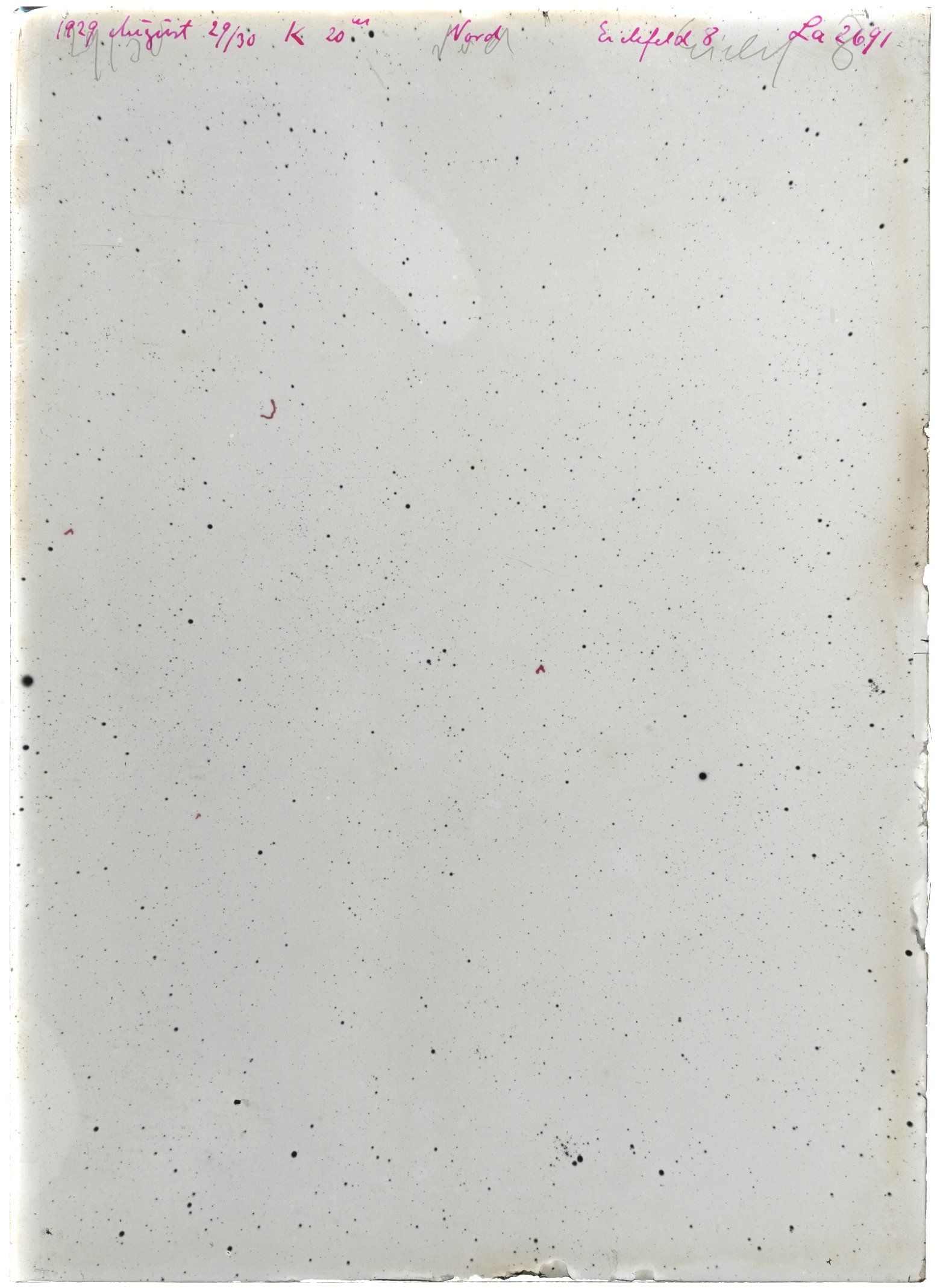 Scan LA02691