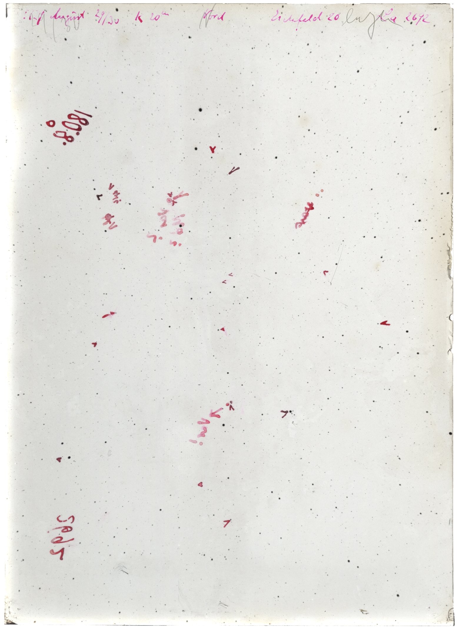 Scan LA02692