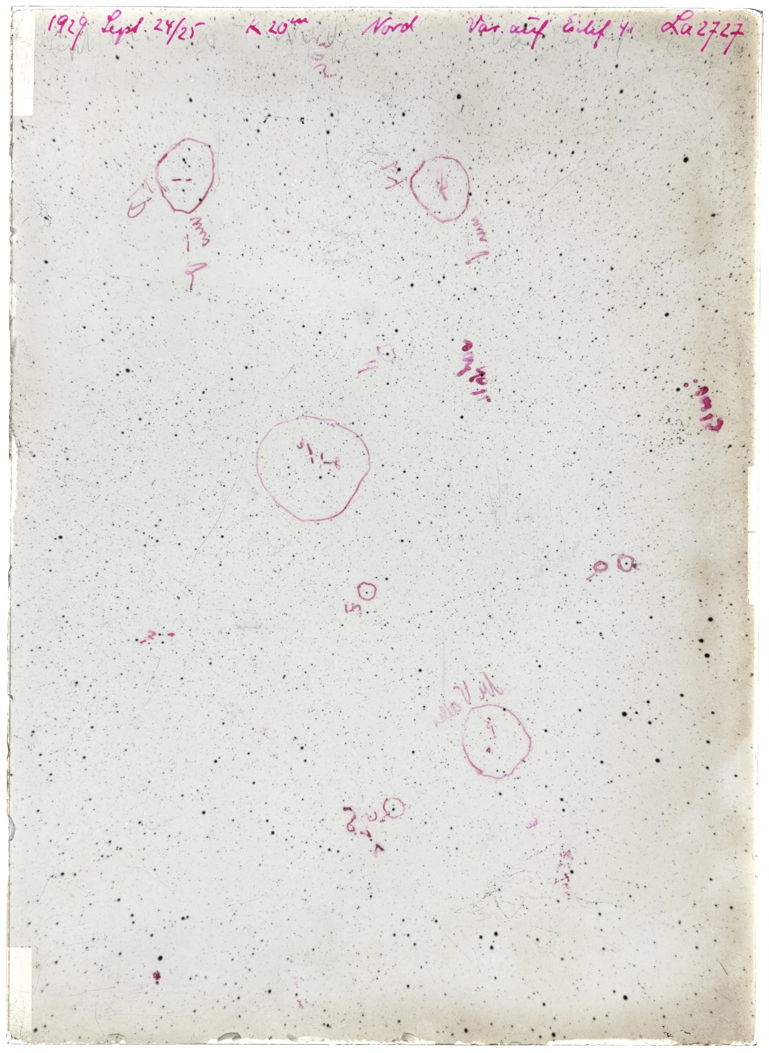 Scan LA02727