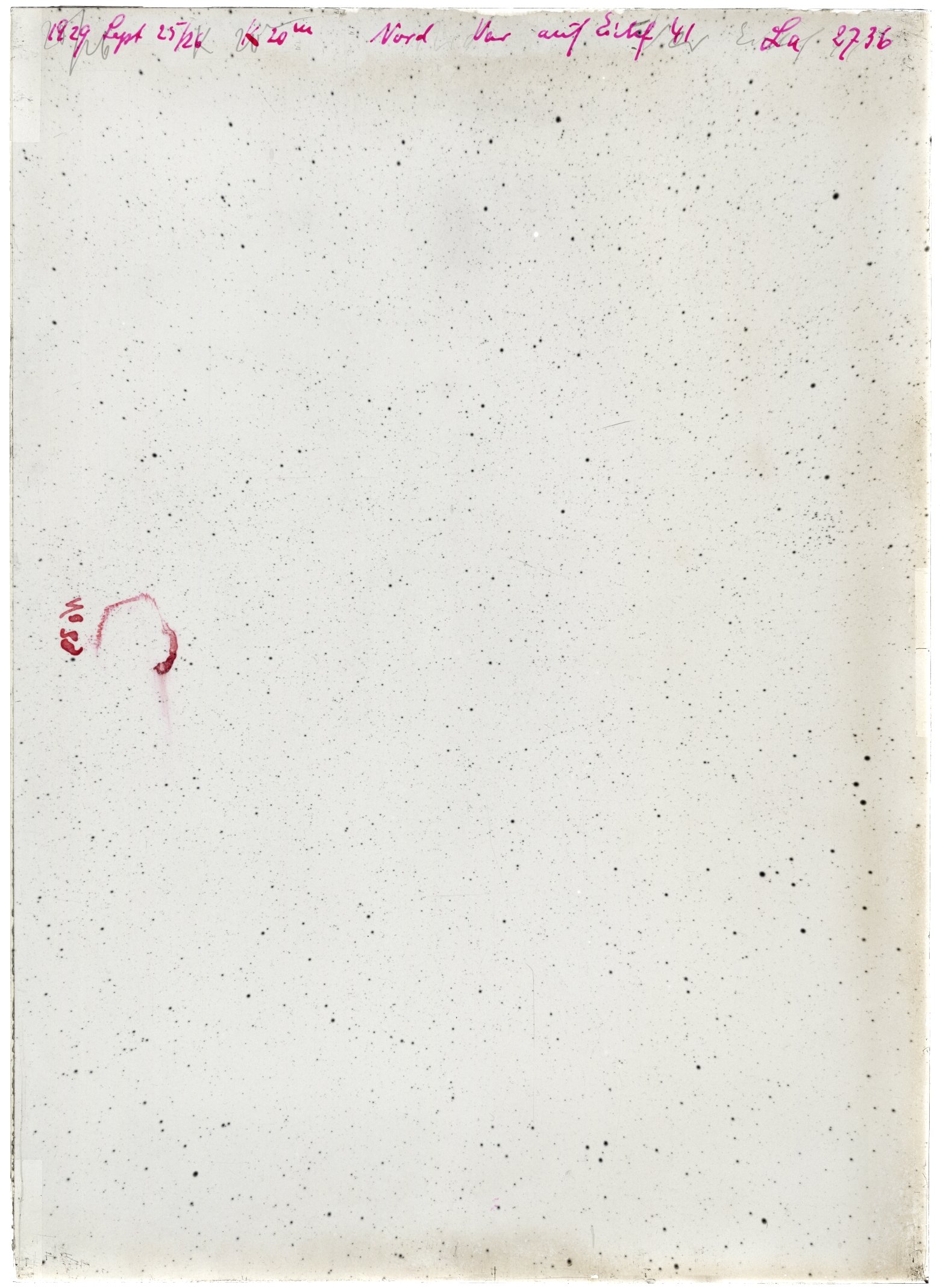 Scan LA02736