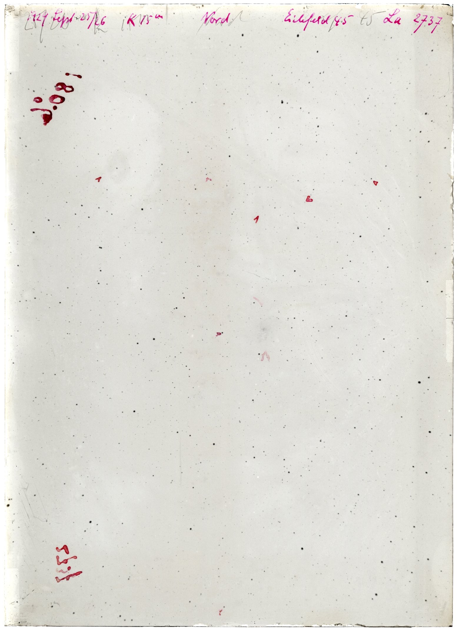 Scan LA02737