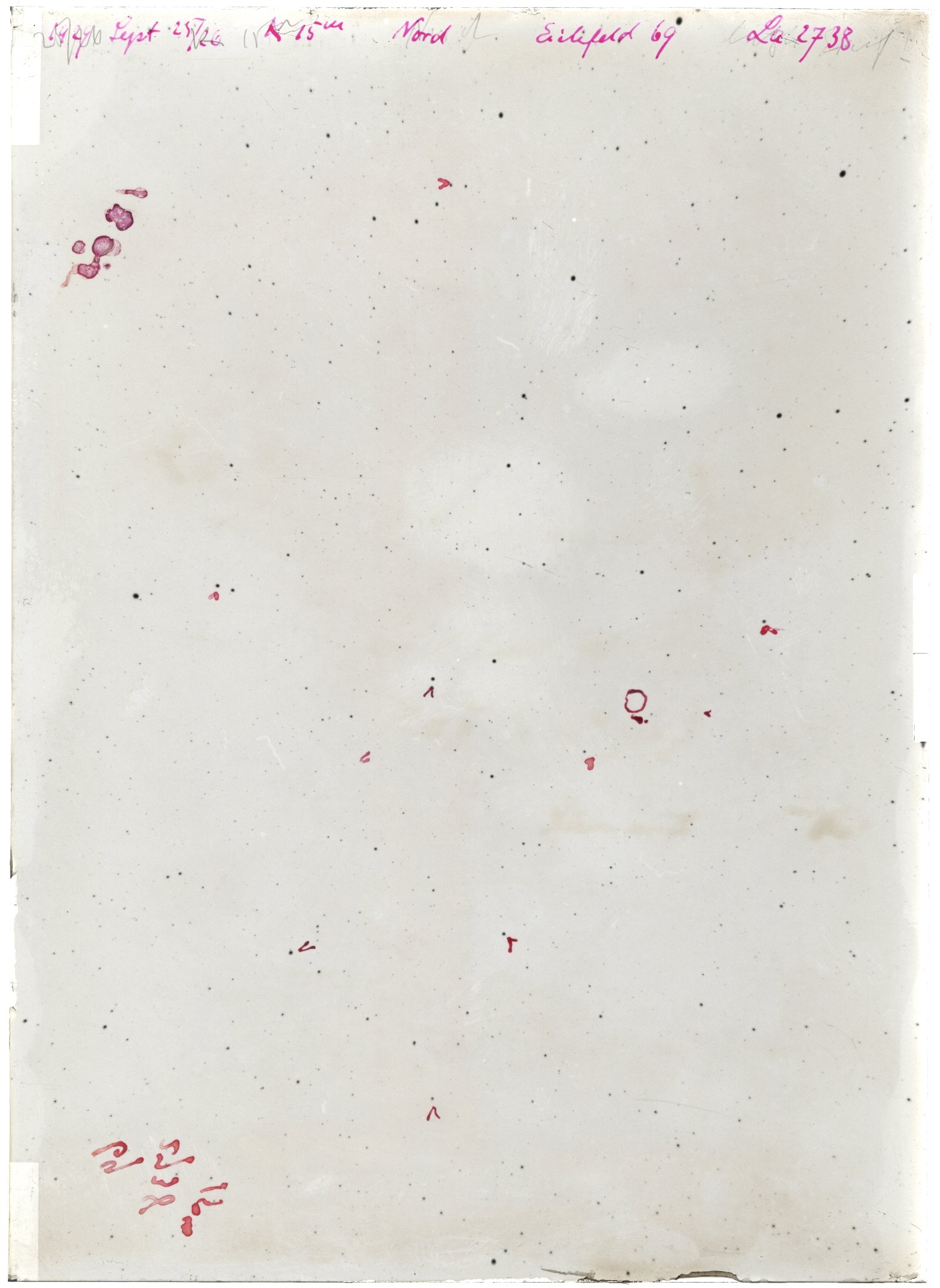 Scan LA02738