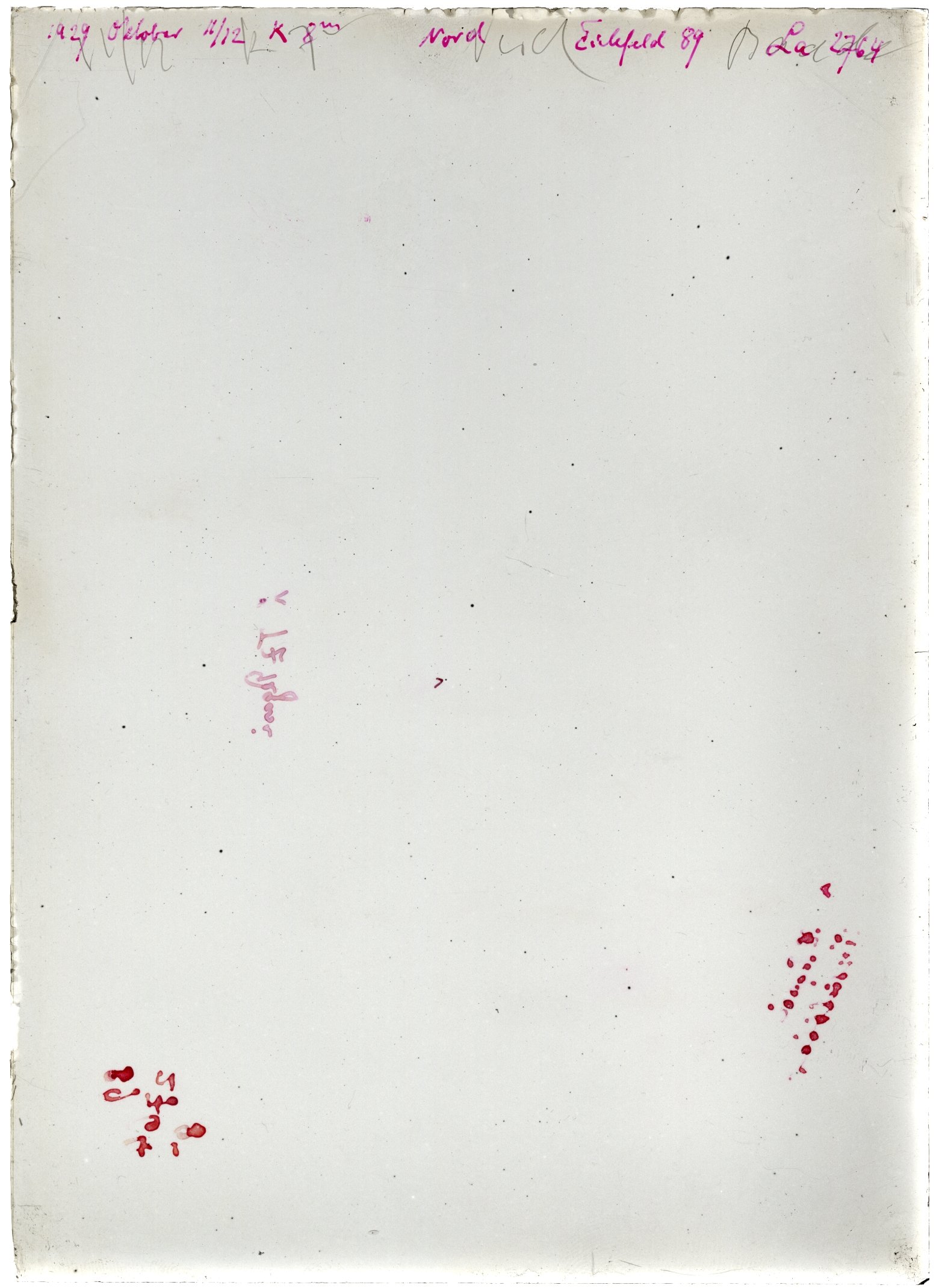 Scan LA02764