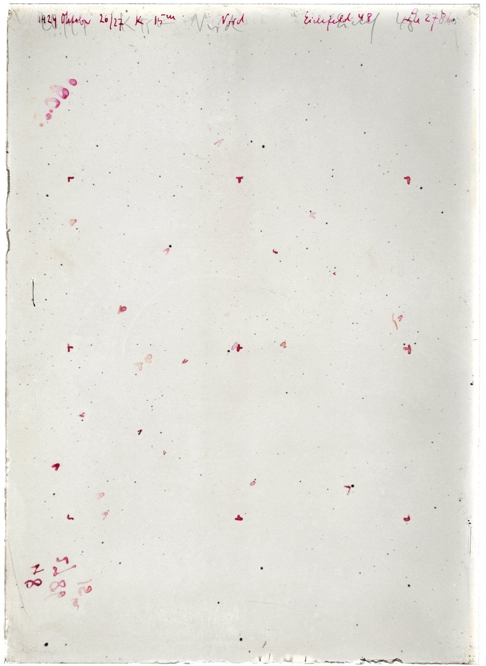 Scan LA02786