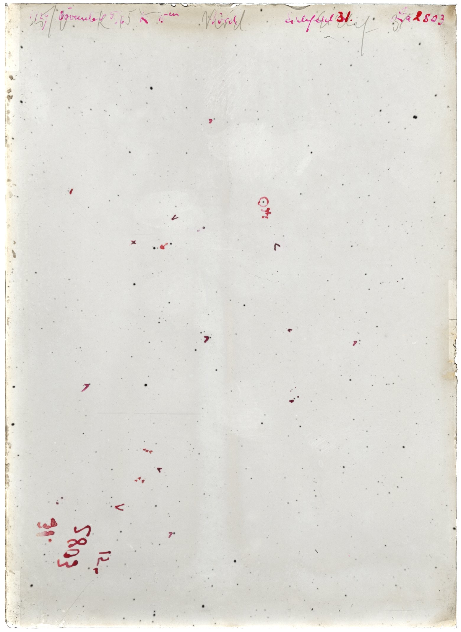 Scan LA02803