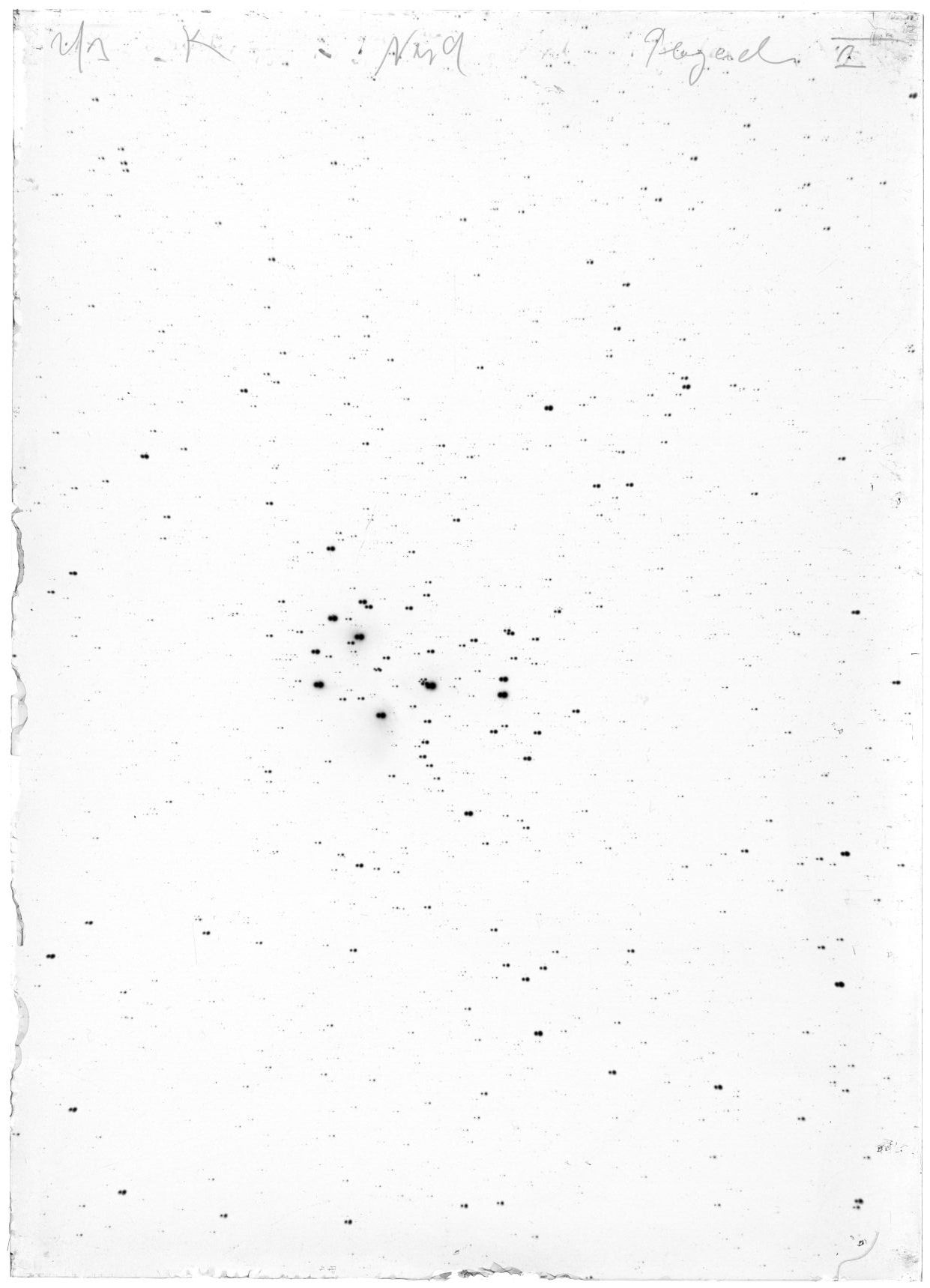 Scan LA02844