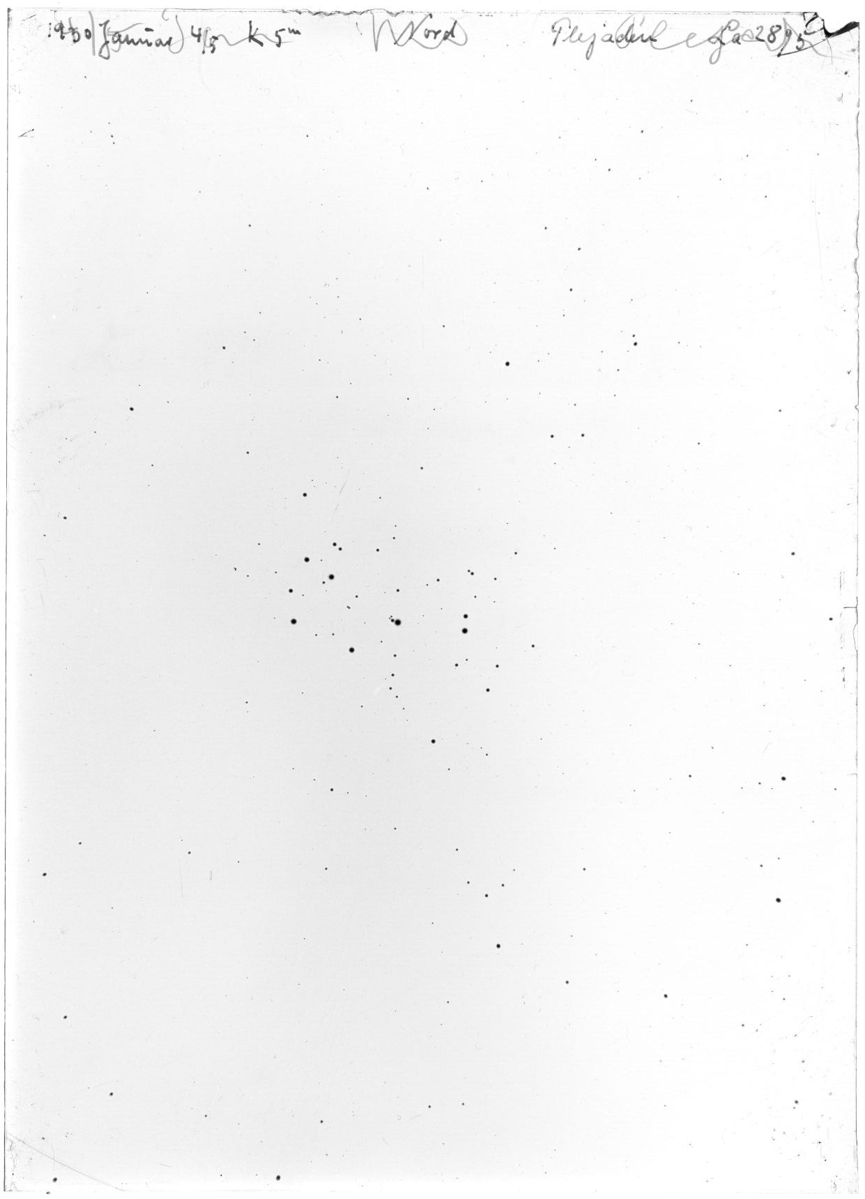 Scan LA02895