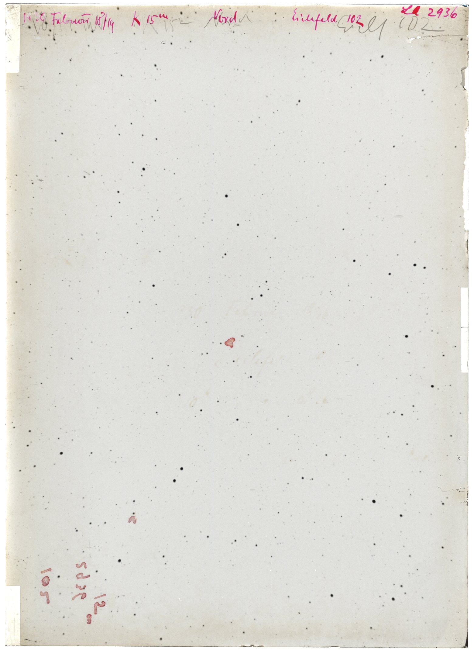 Scan LA02936