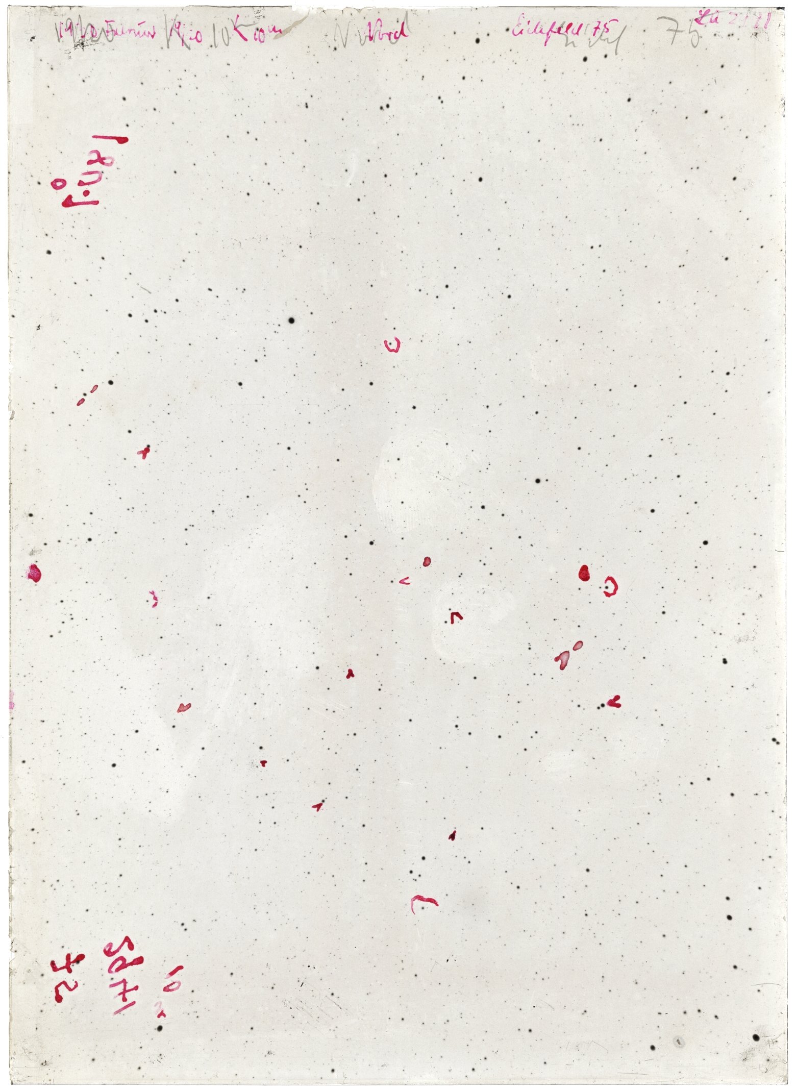 Scan LA02941