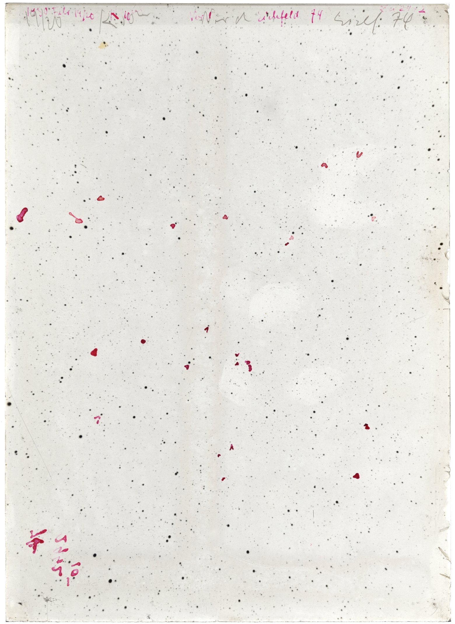 Scan LA02942