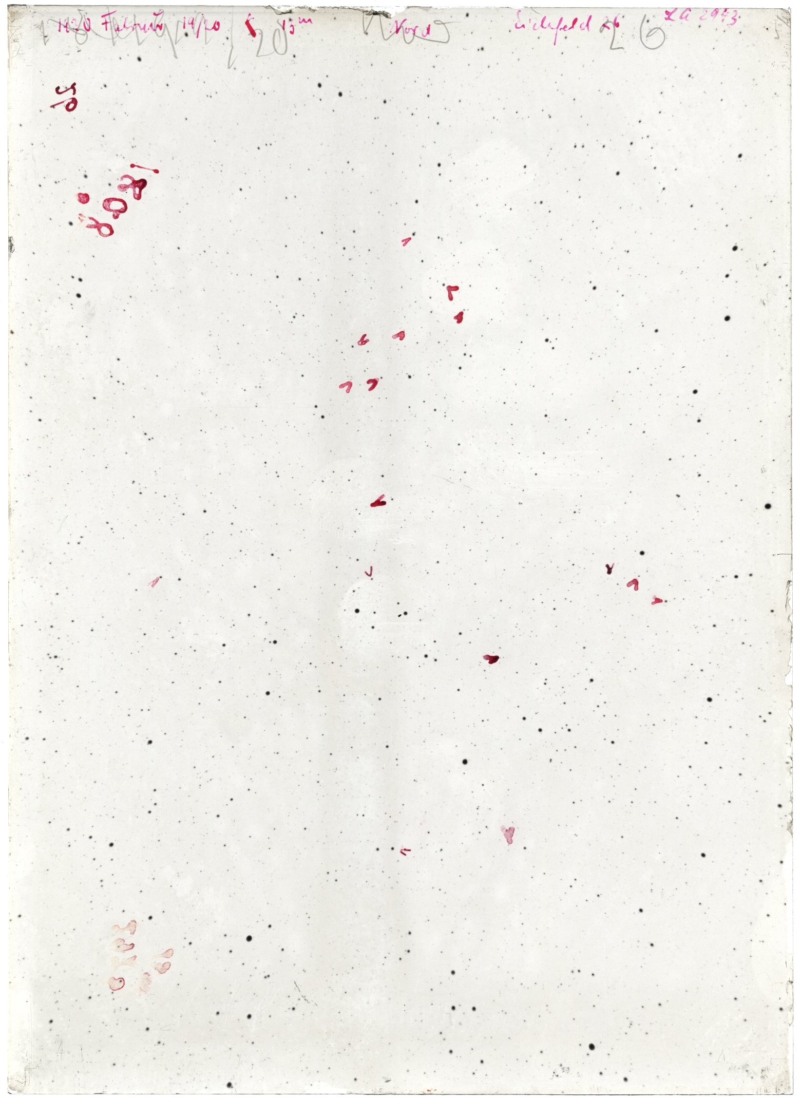 Scan LA02943
