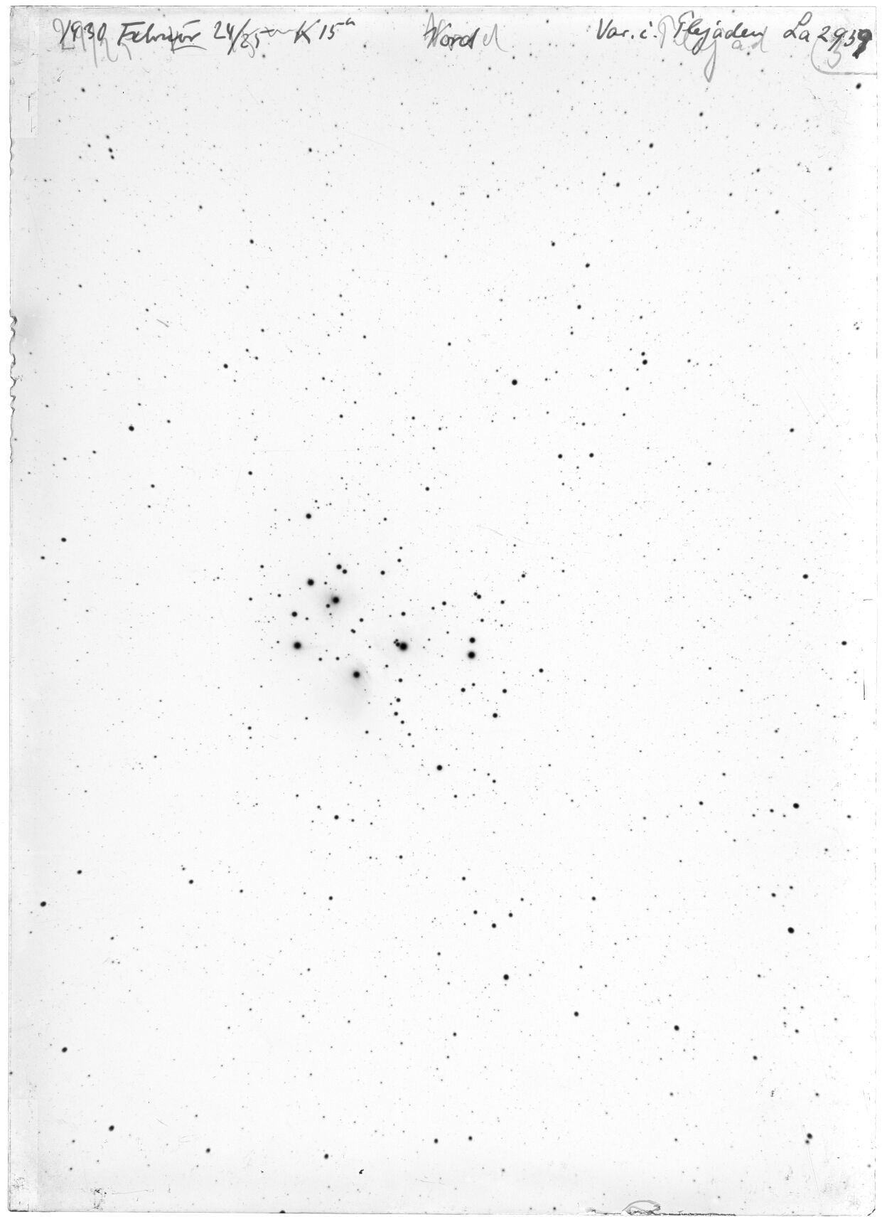 Scan LA02959