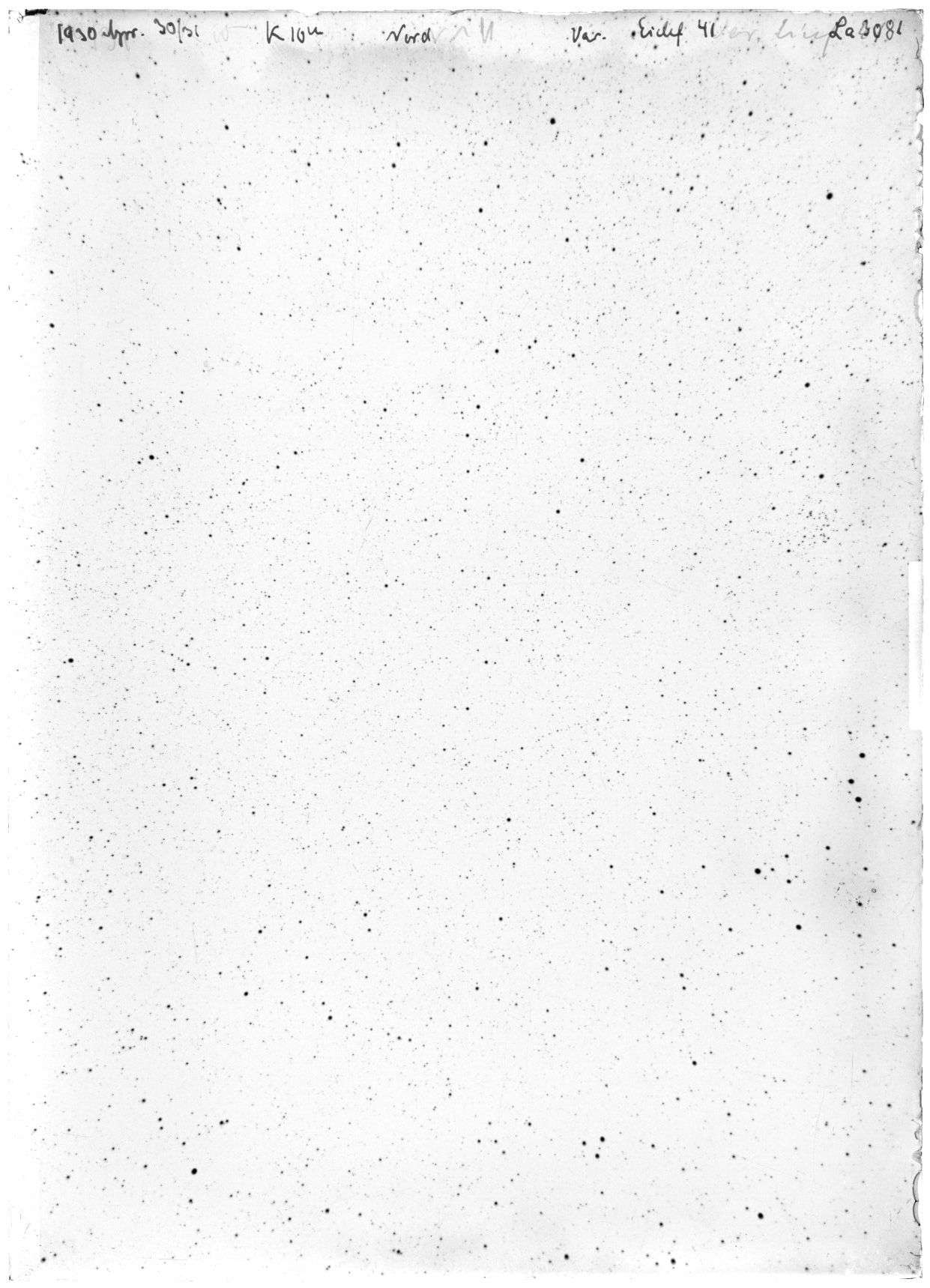 Scan LA03081