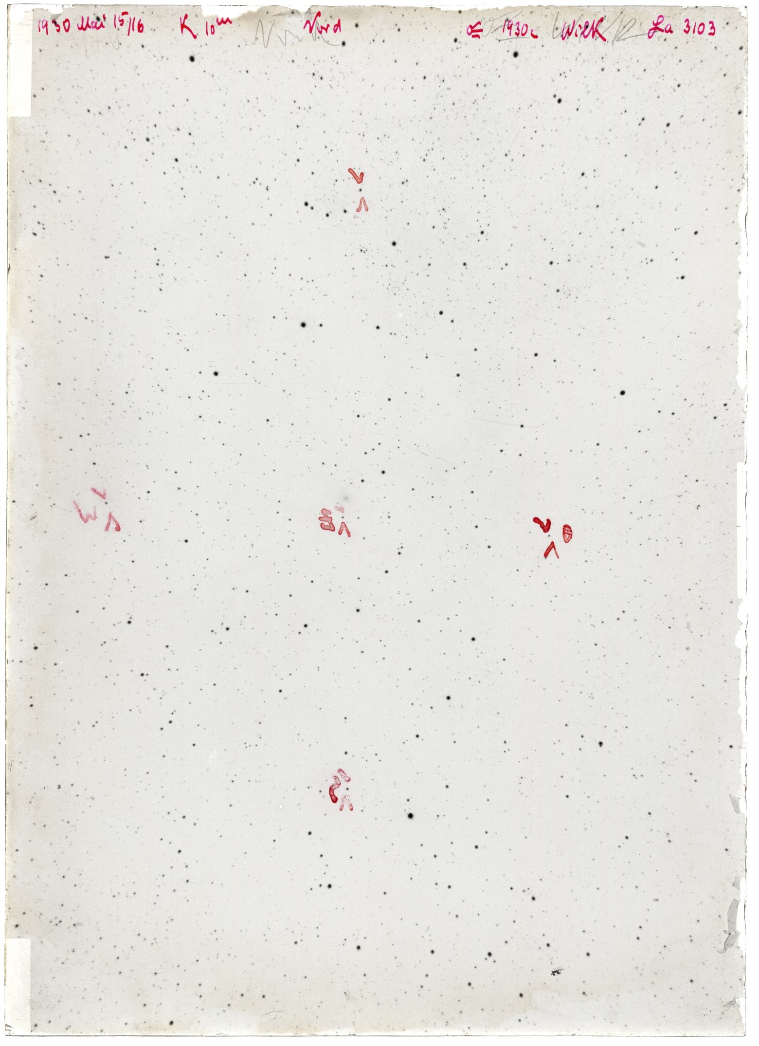 Scan LA03103