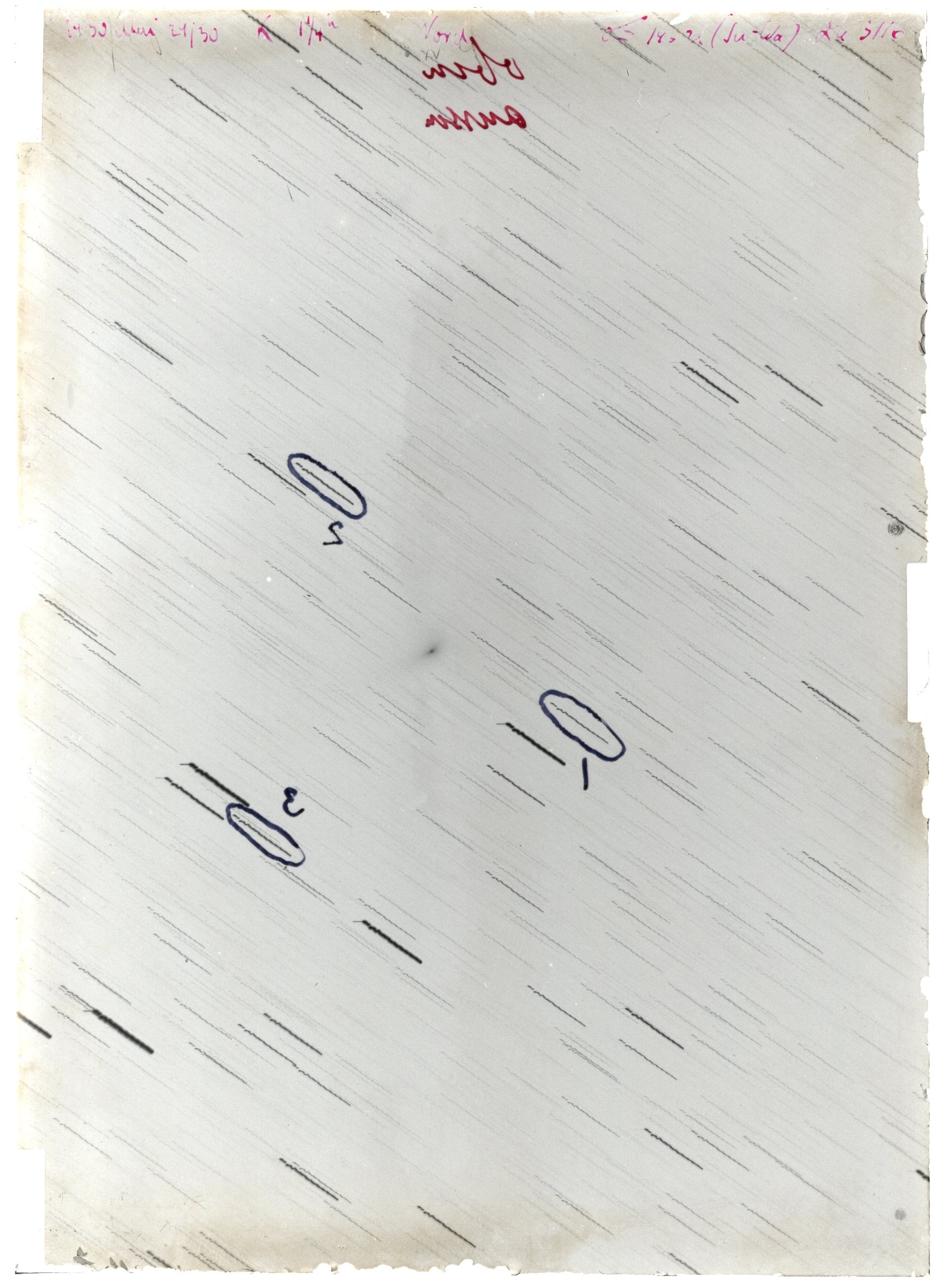 Scan LA03116