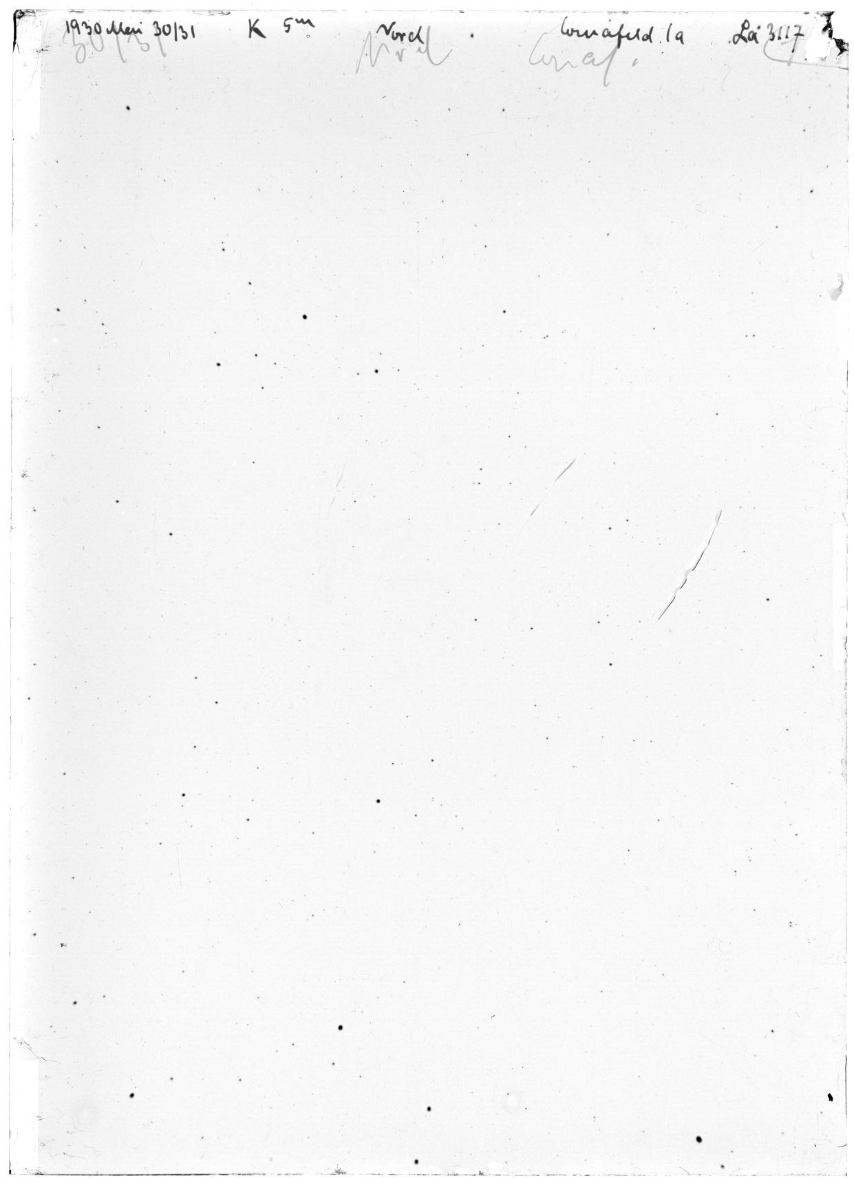 Scan LA03117