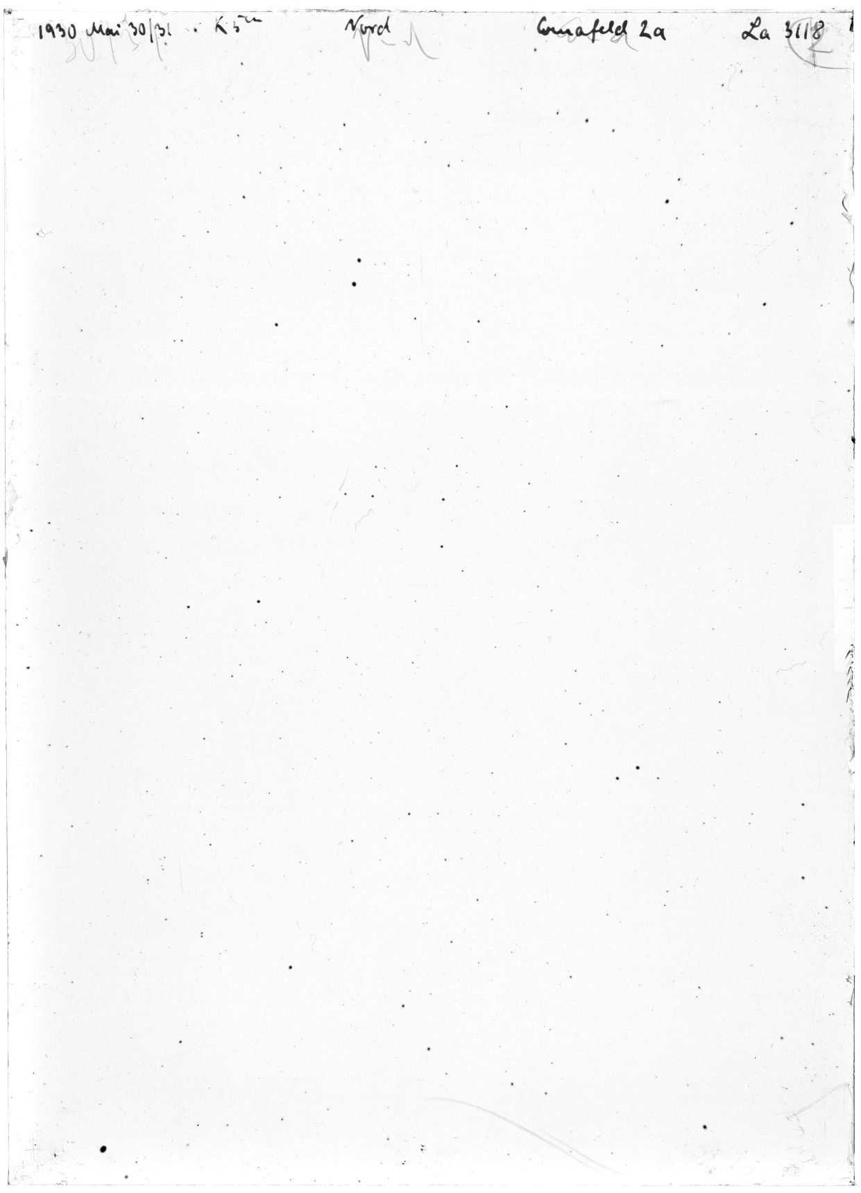 Scan LA03118