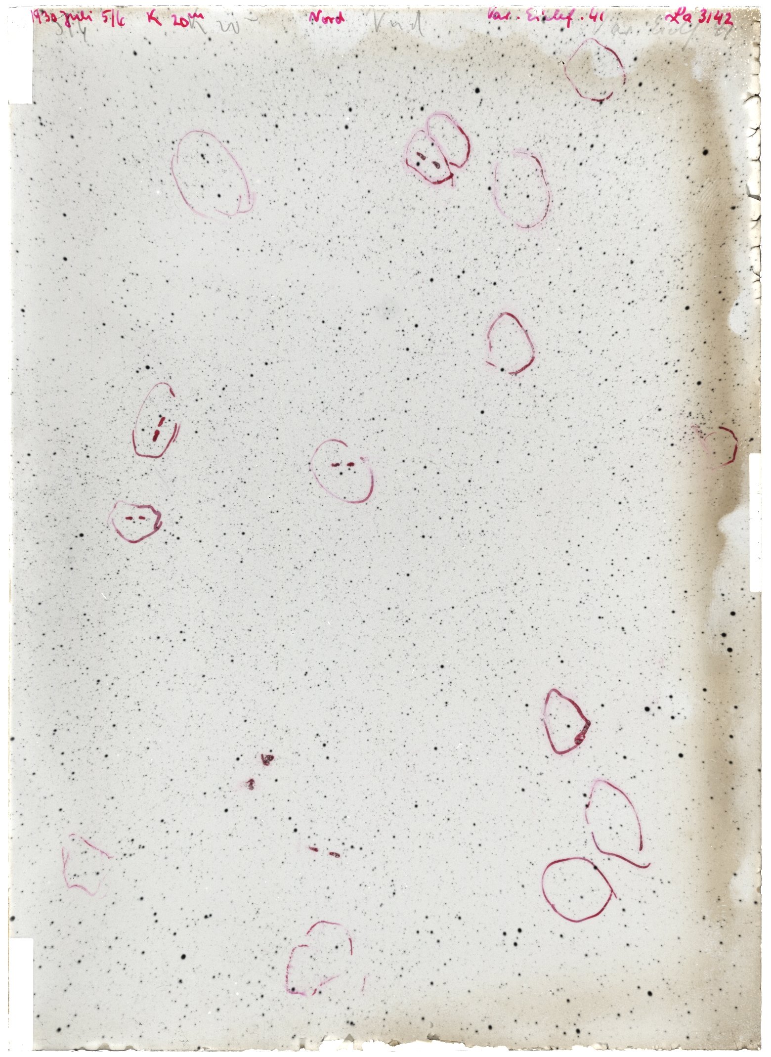 Scan LA03142
