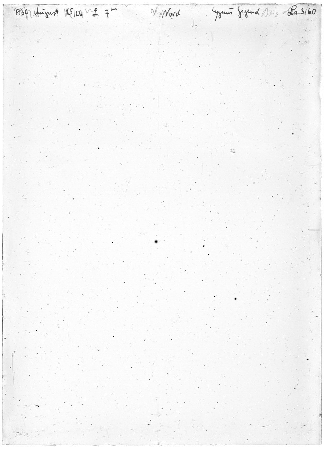 Scan LA03160