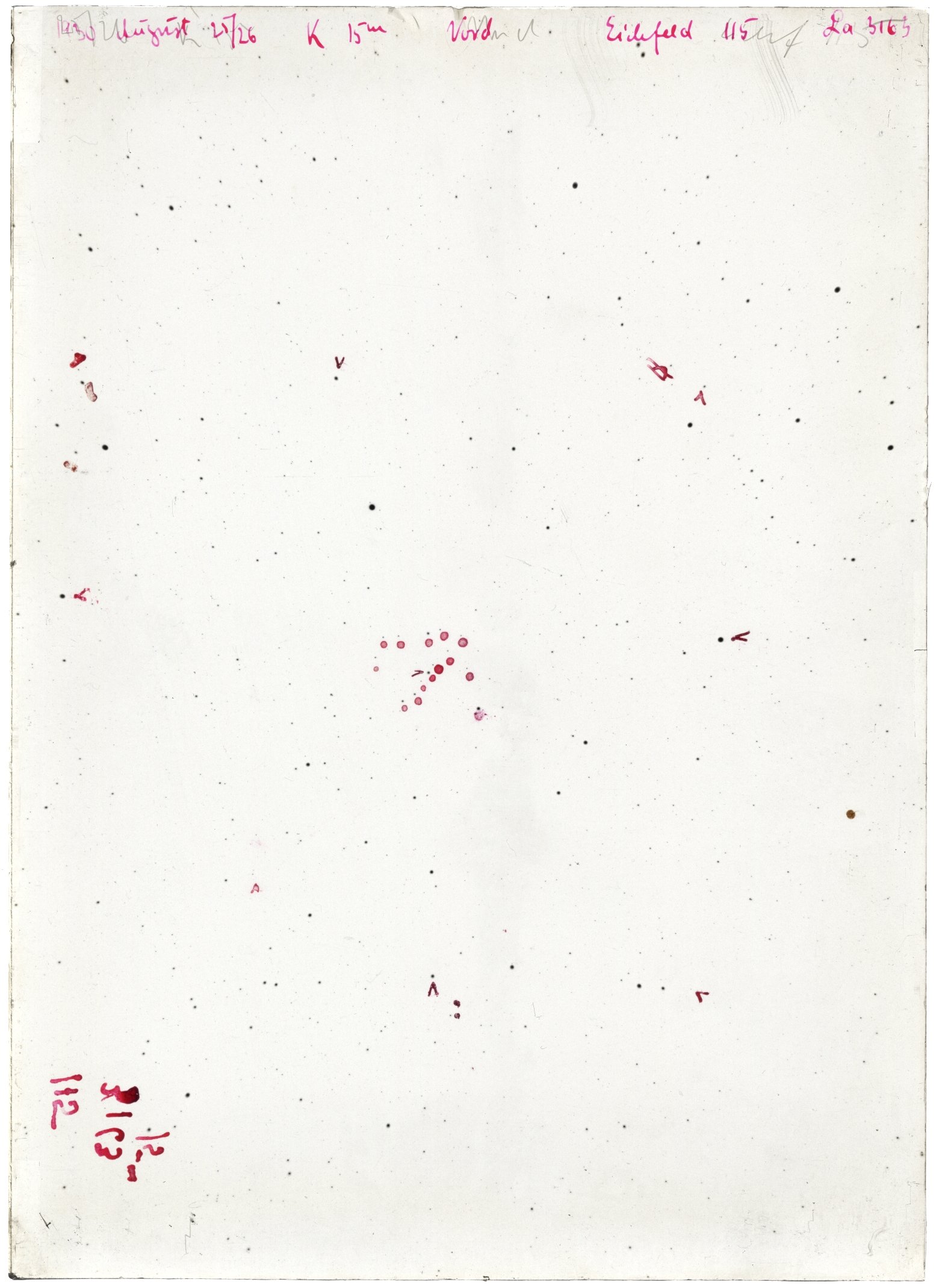 Scan LA03163