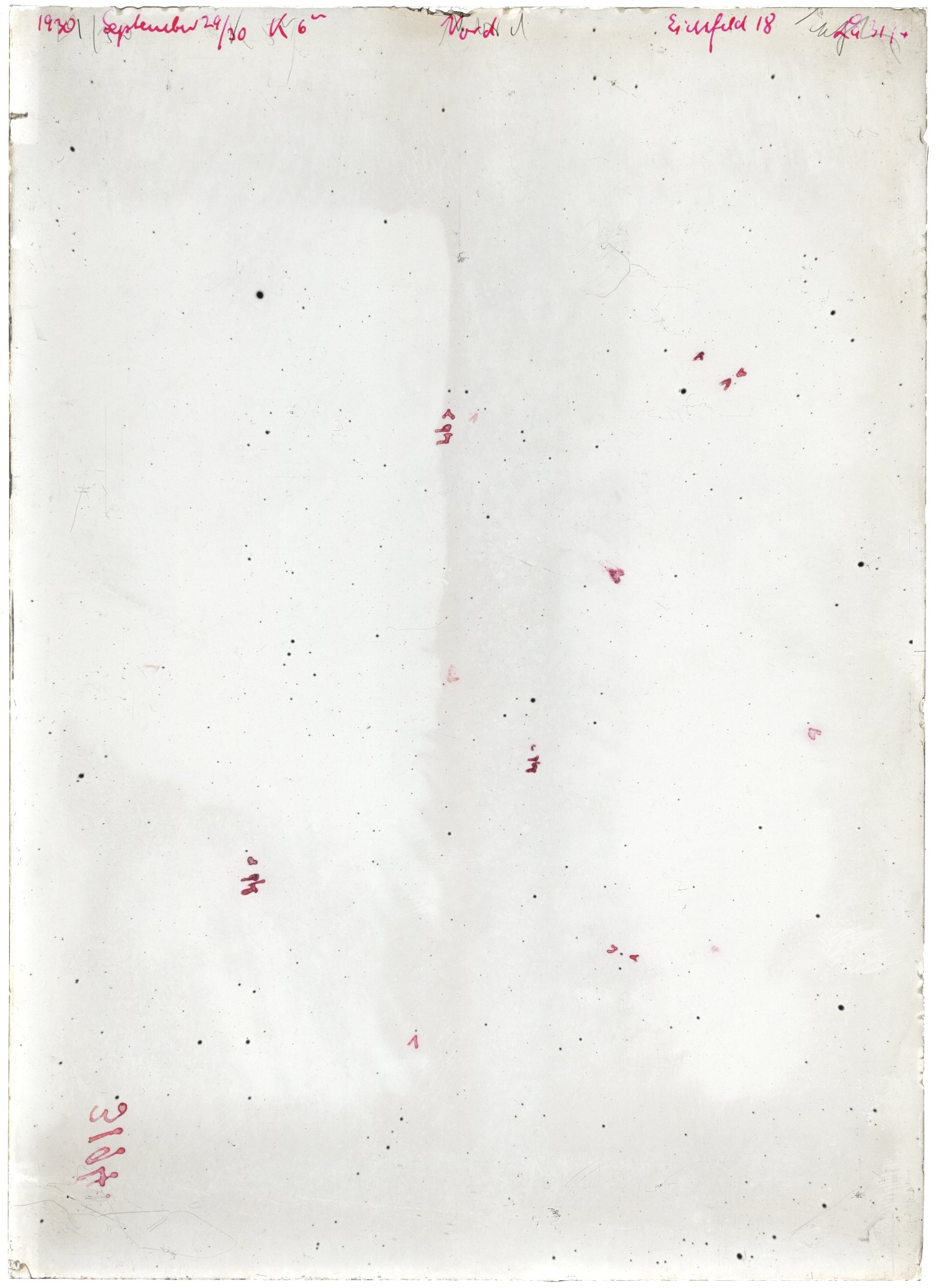 Scan LA03194
