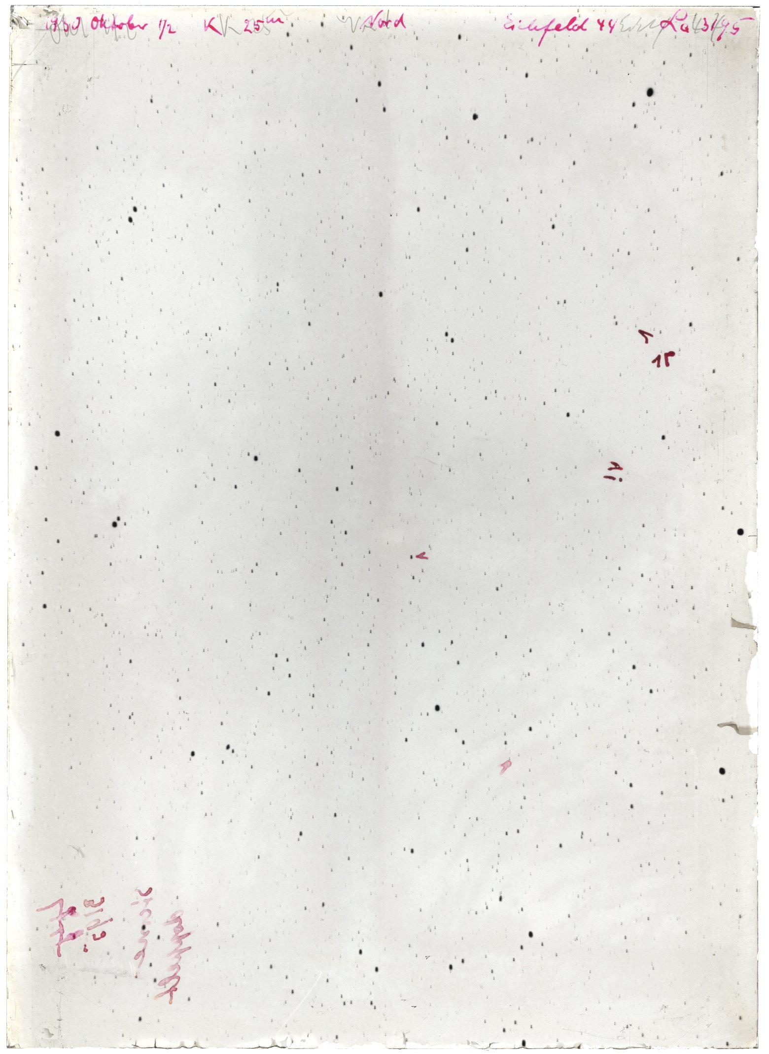 Scan LA03195