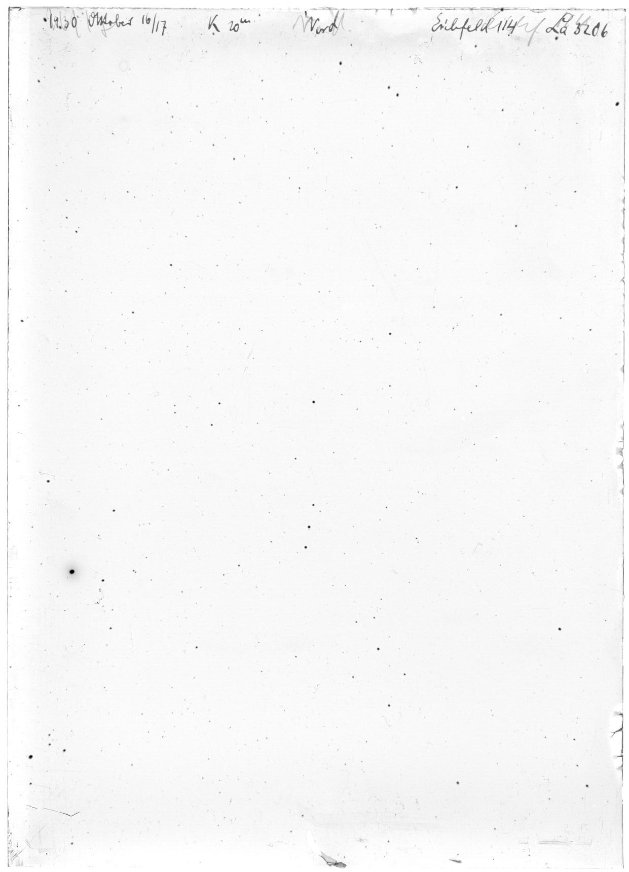 Scan LA03206