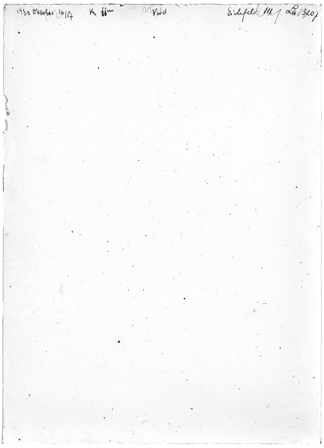 Scan LA03207
