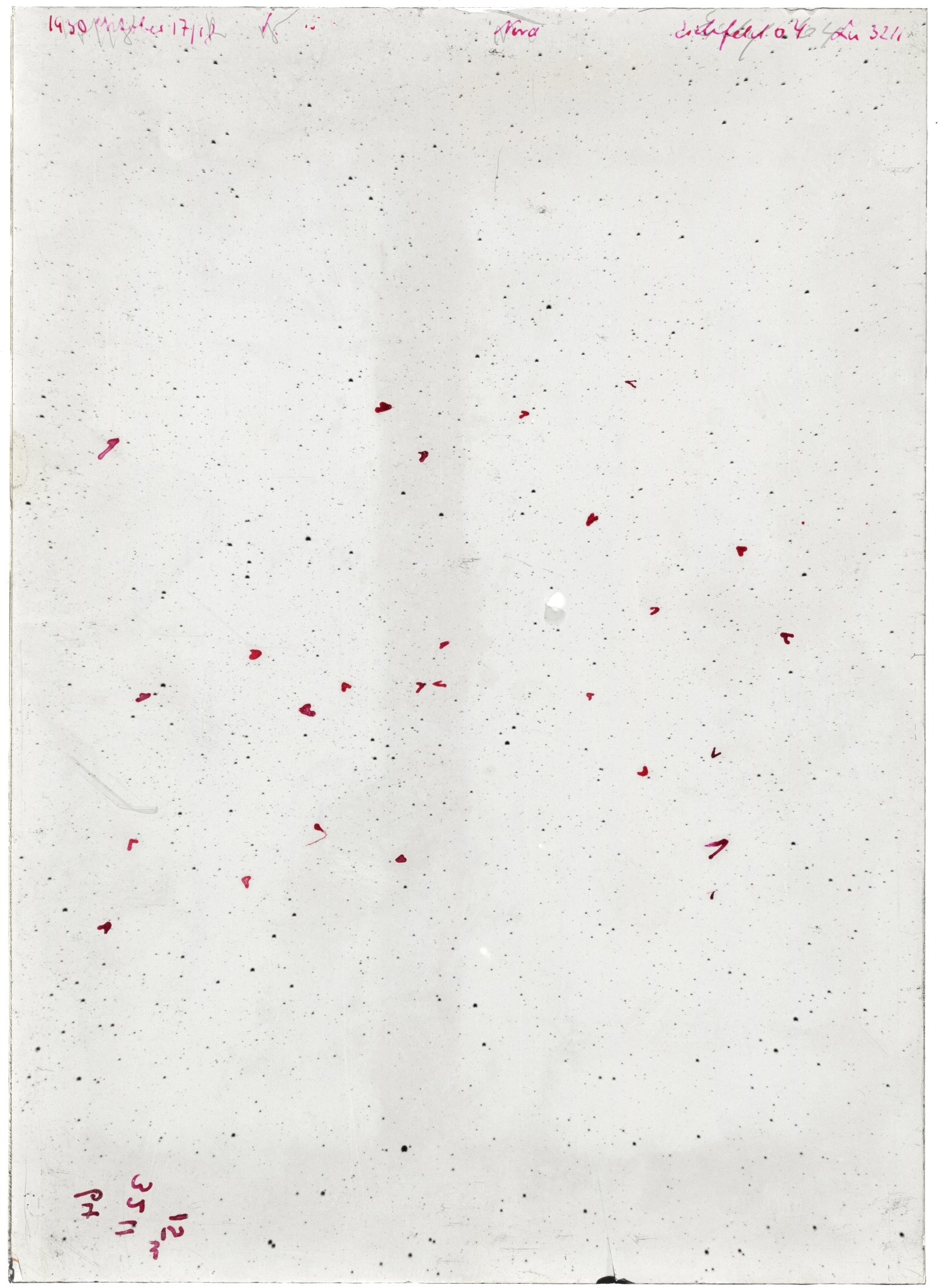 Scan LA03211